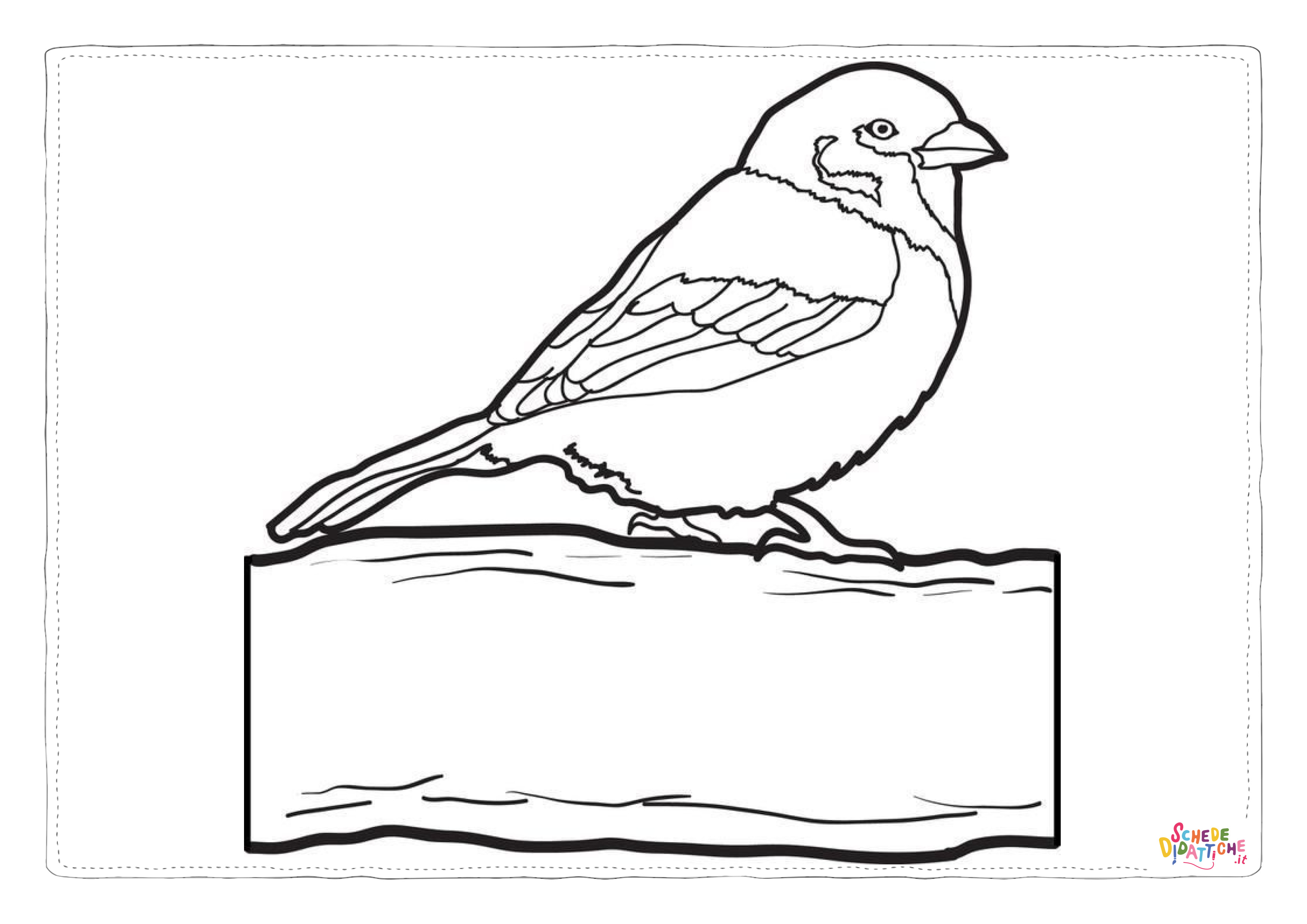 Disegno "Disegno di passero da stampare e colorare 33" Disegno di passero da stampare e colorare 33