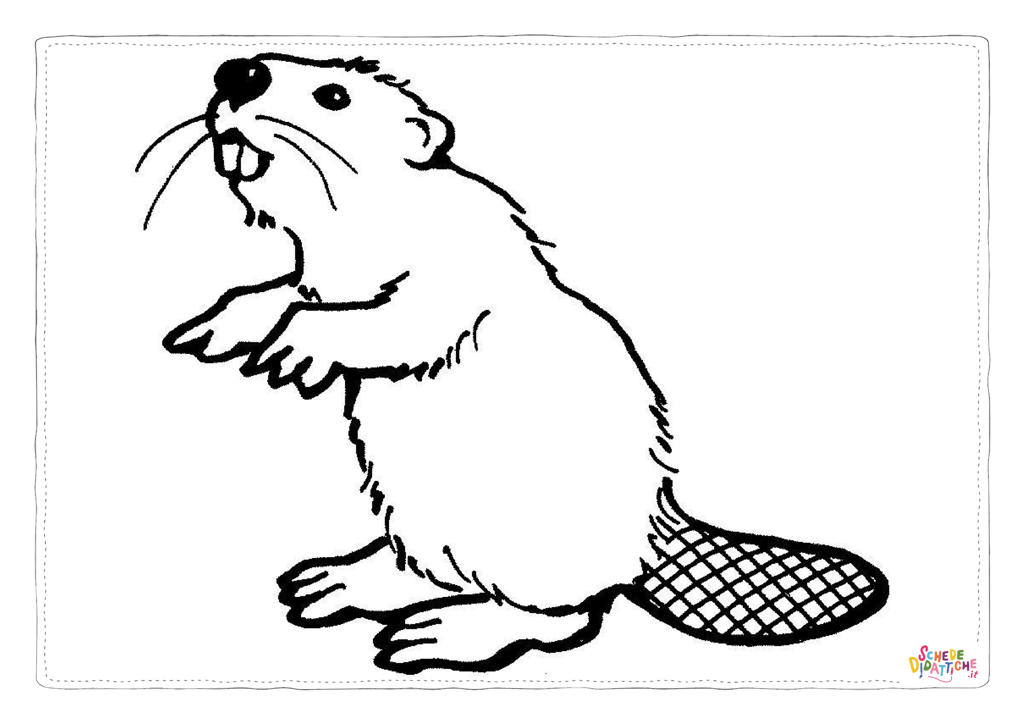 Disegno "Disegno di castoro da stampare e colorare 16" Disegno di castoro da stampare e colorare 16
