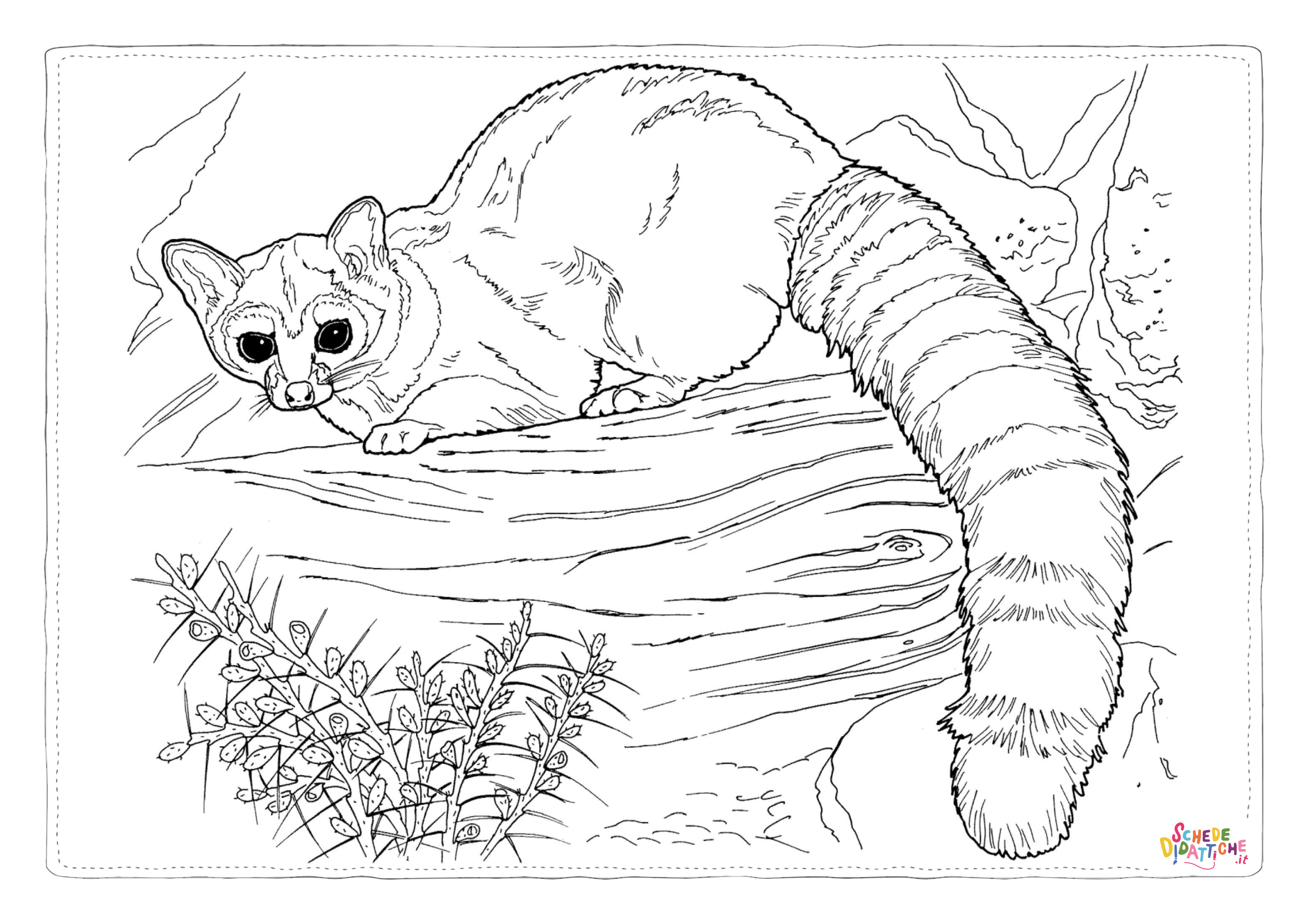 Disegno di lemure da stampare e colorare 4