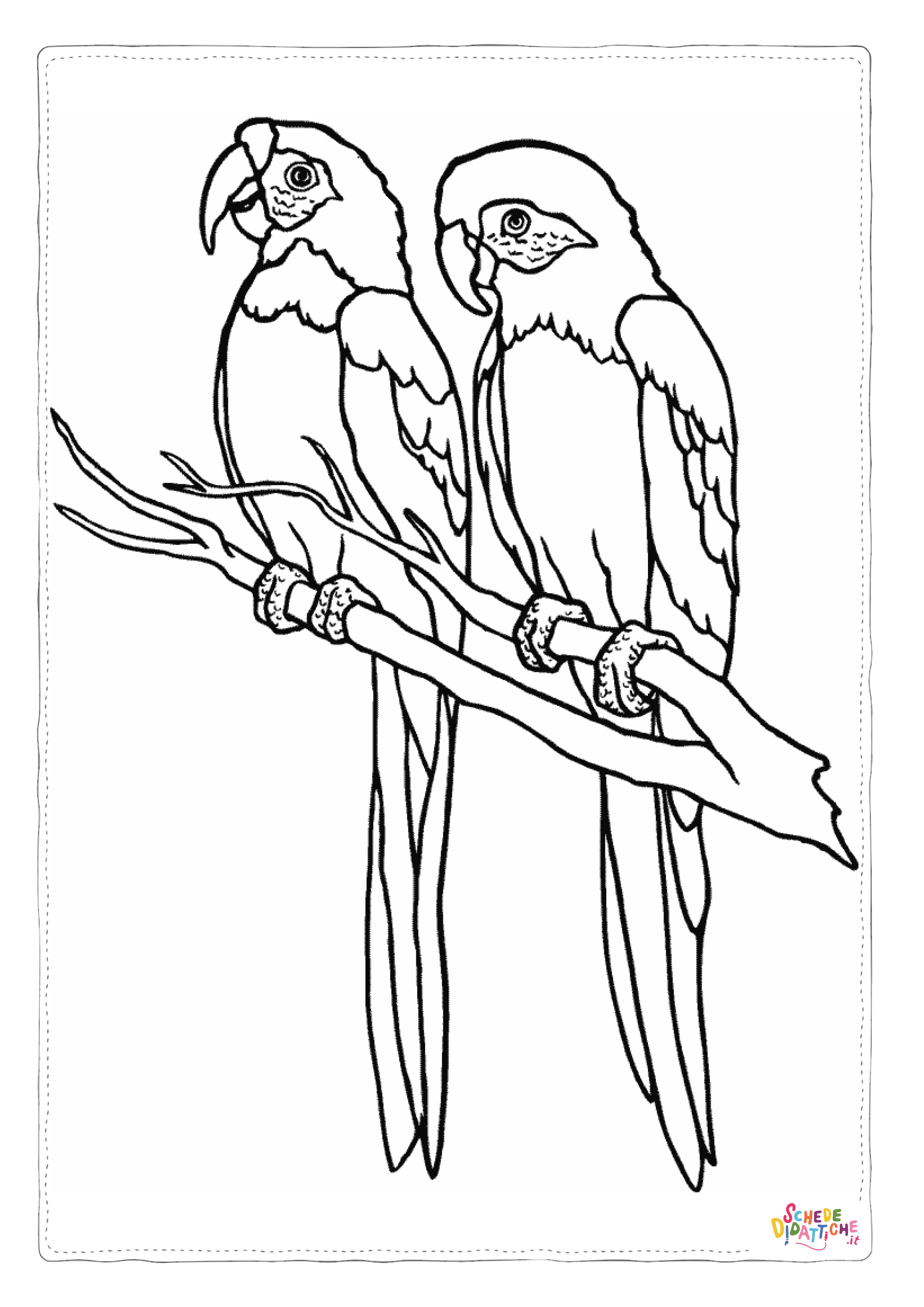 Disegno "Disegno di pappagallo da stampare e colorare 30" Disegno di pappagallo da stampare e colorare 30