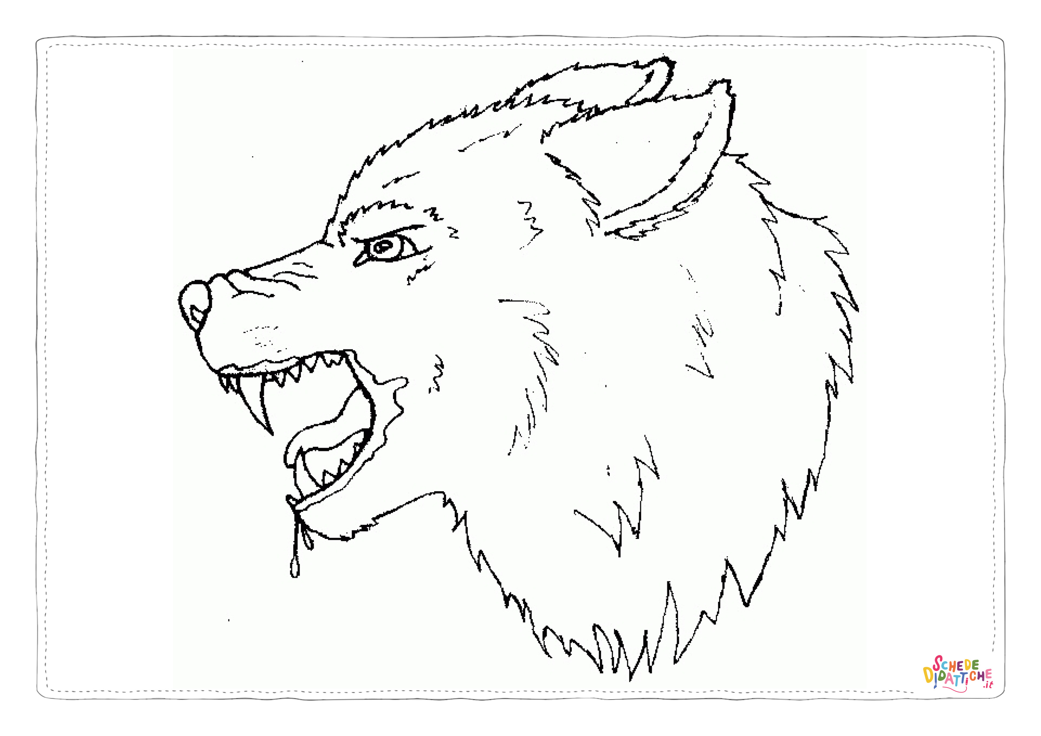 Disegno di lupo da stampare e colorare 50