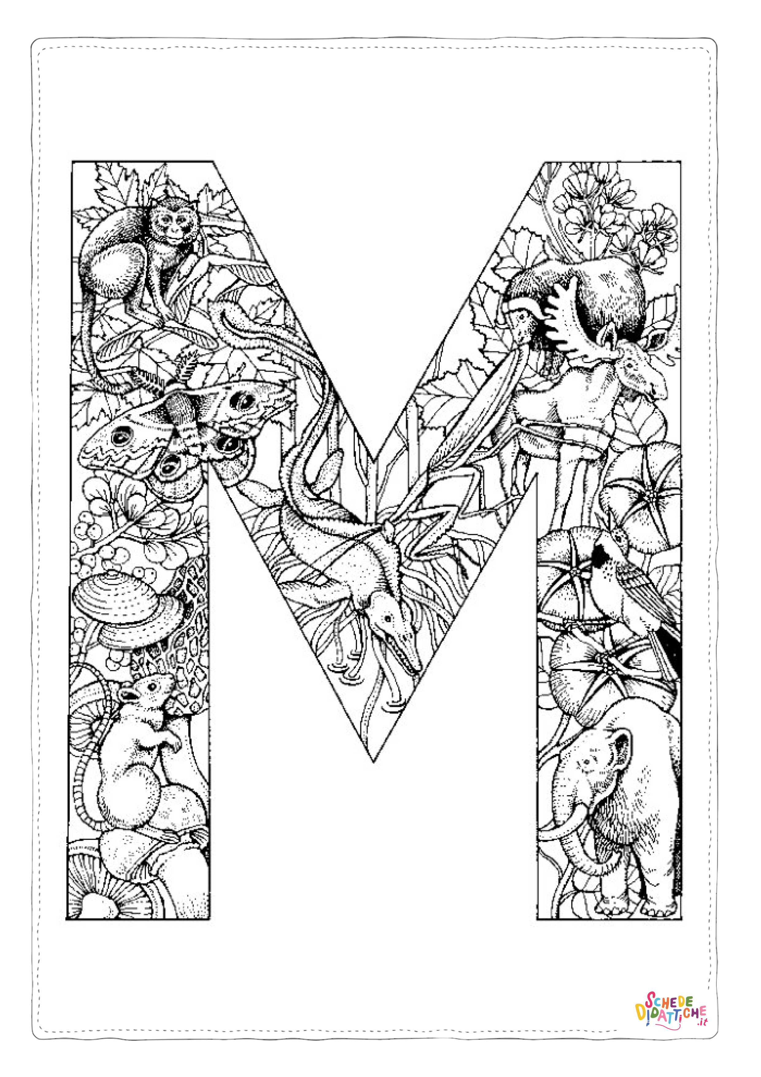 Disegno di lettera dell'alfabeto da stampare e colorare 30