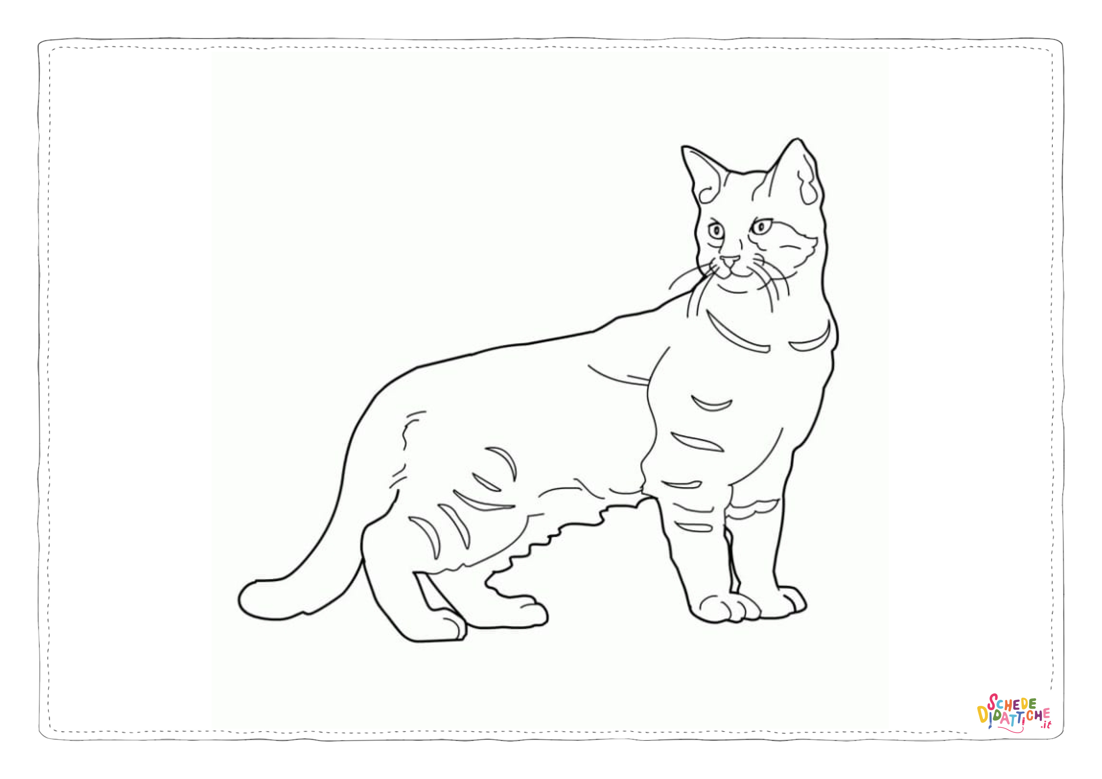 Disegno di gatto da stampare e colorare 262
