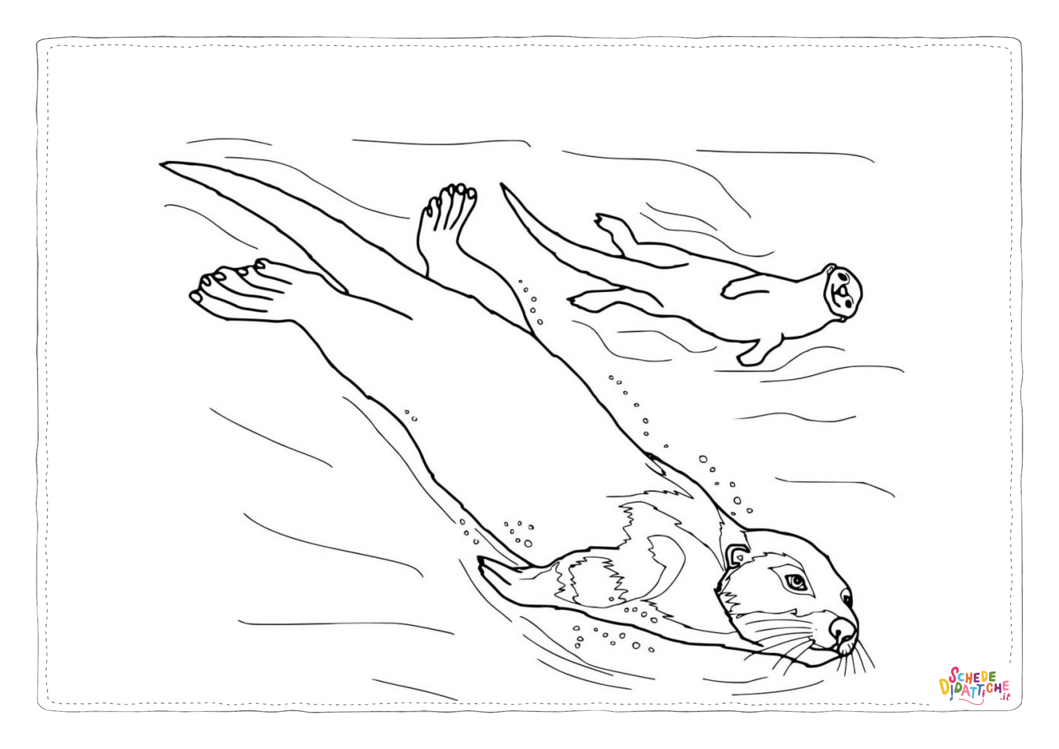 Disegno di lontra da stampare e colorare 18