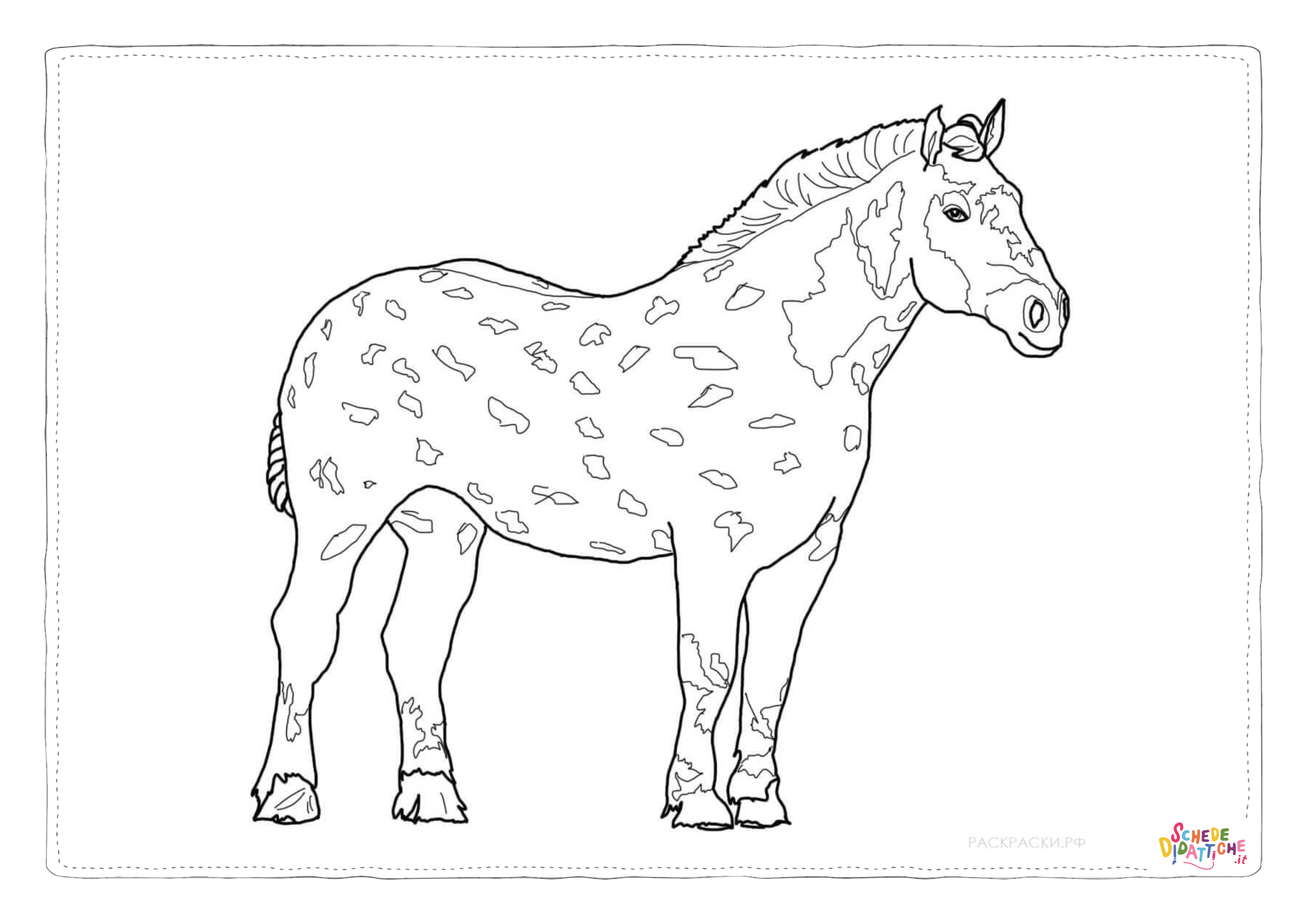 Disegno di cavallo da stampare e colorare 156