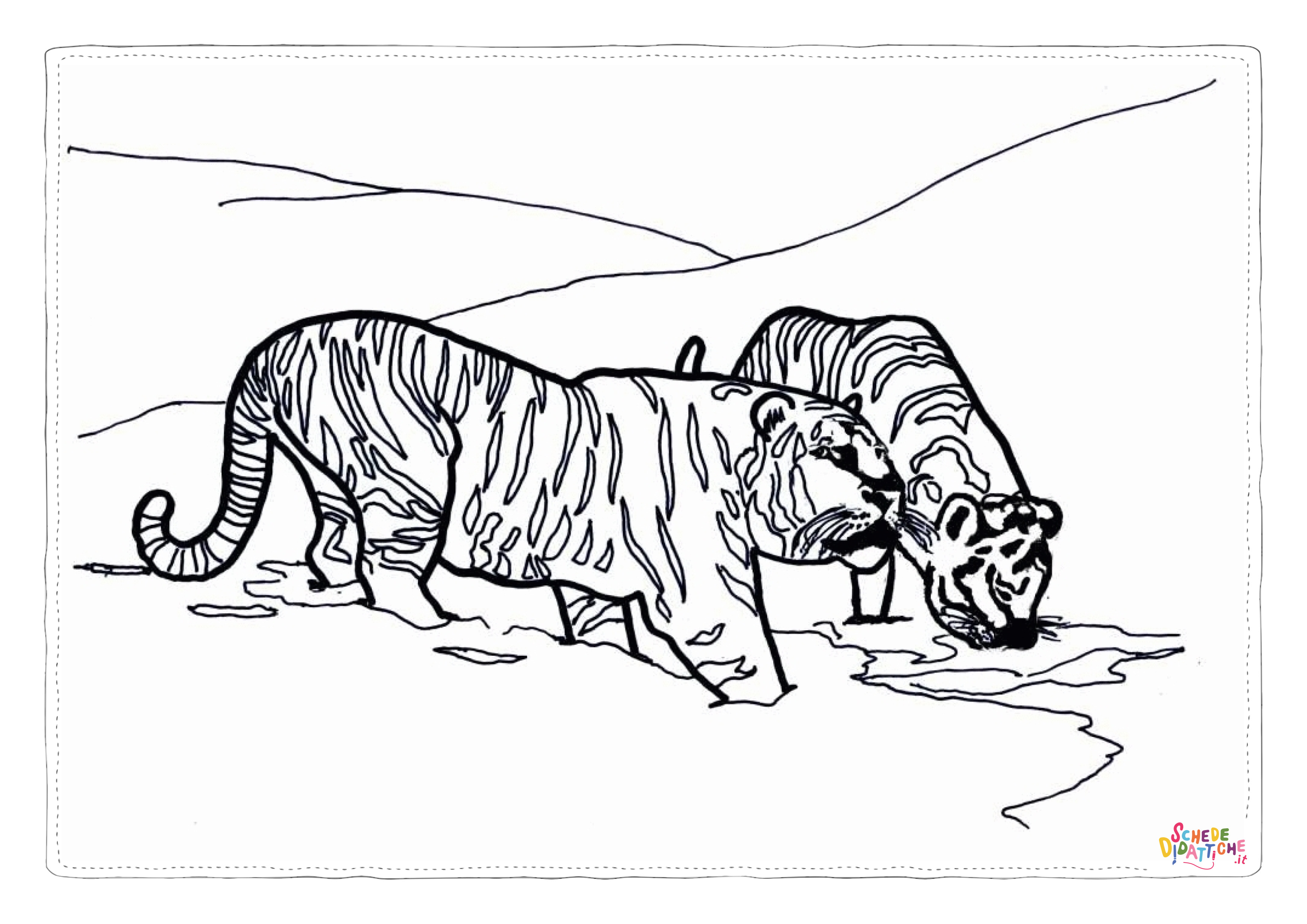 Disegno "Disegno di tigre da stampare e colorare 31" Disegno di tigre da stampare e colorare 31