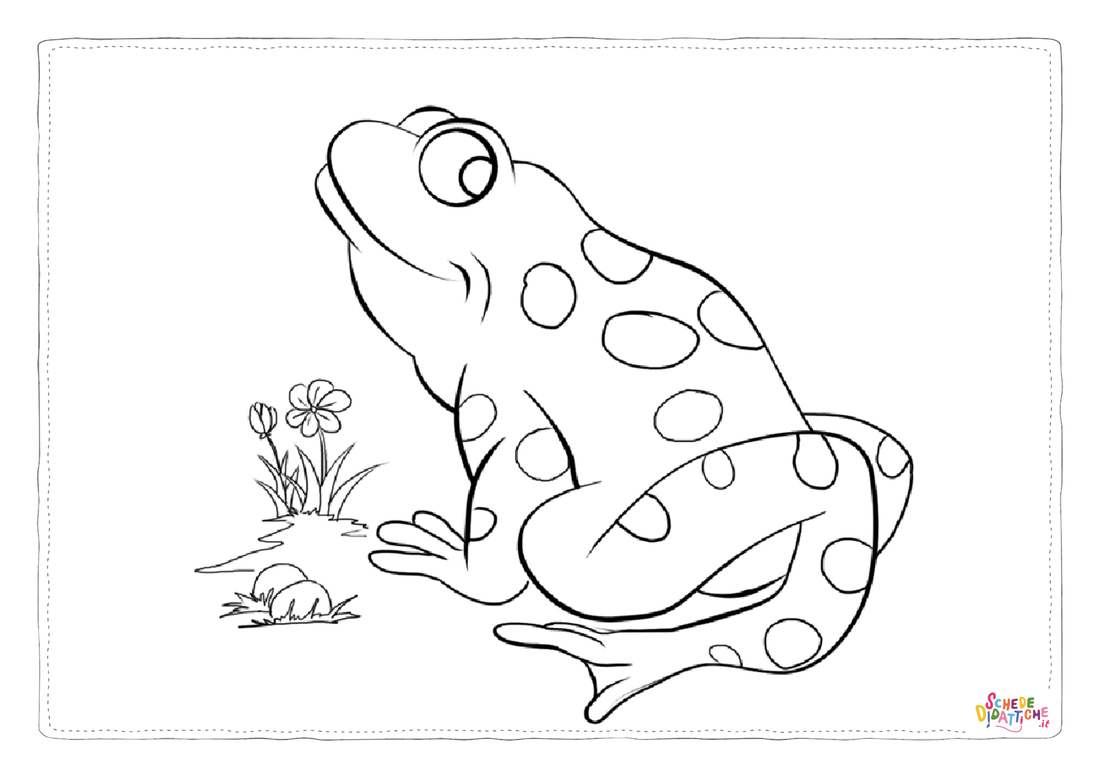 Disegno di rana da stampare e colorare 77