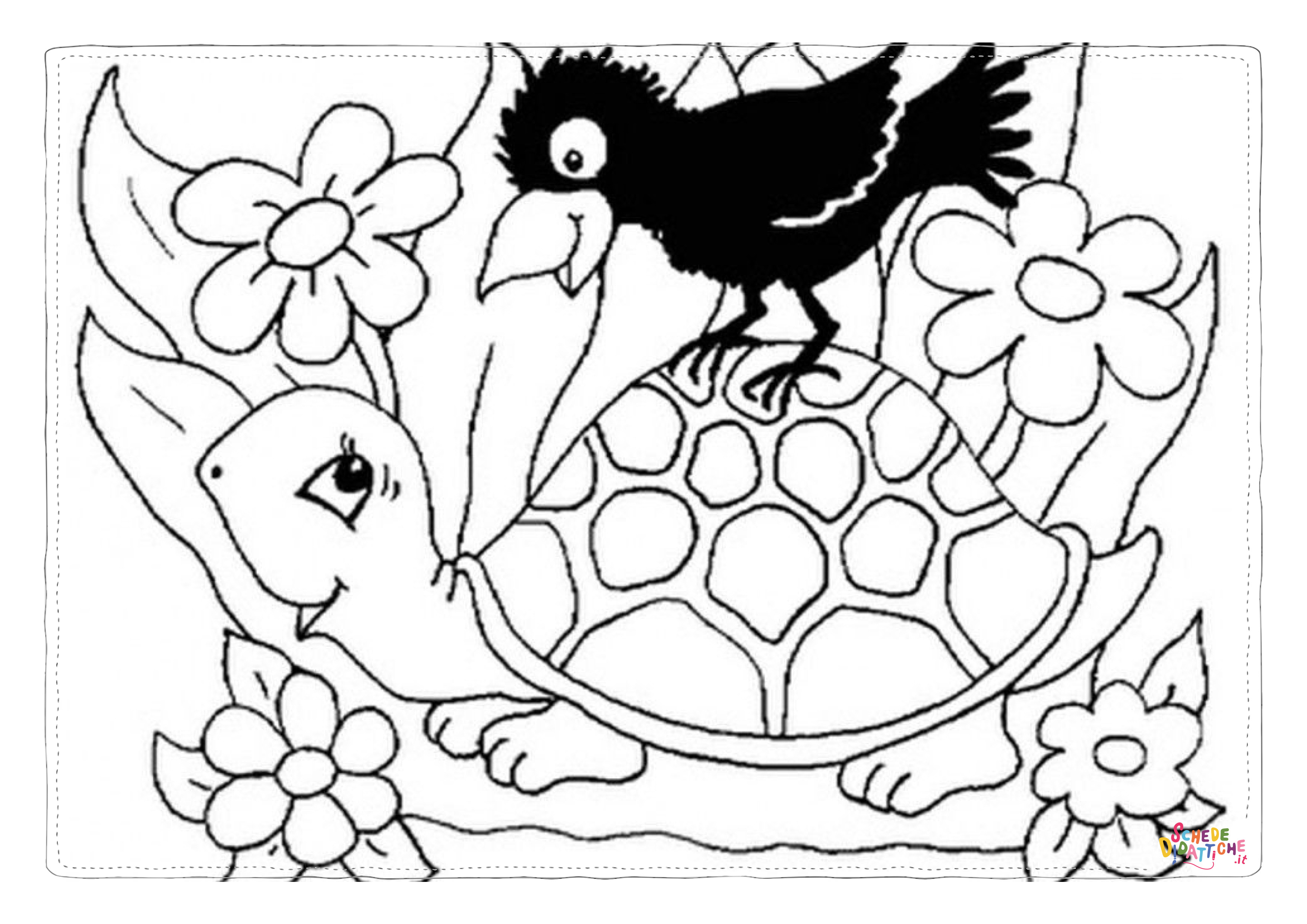 Disegno di tartaruga di terra da stampare e colorare