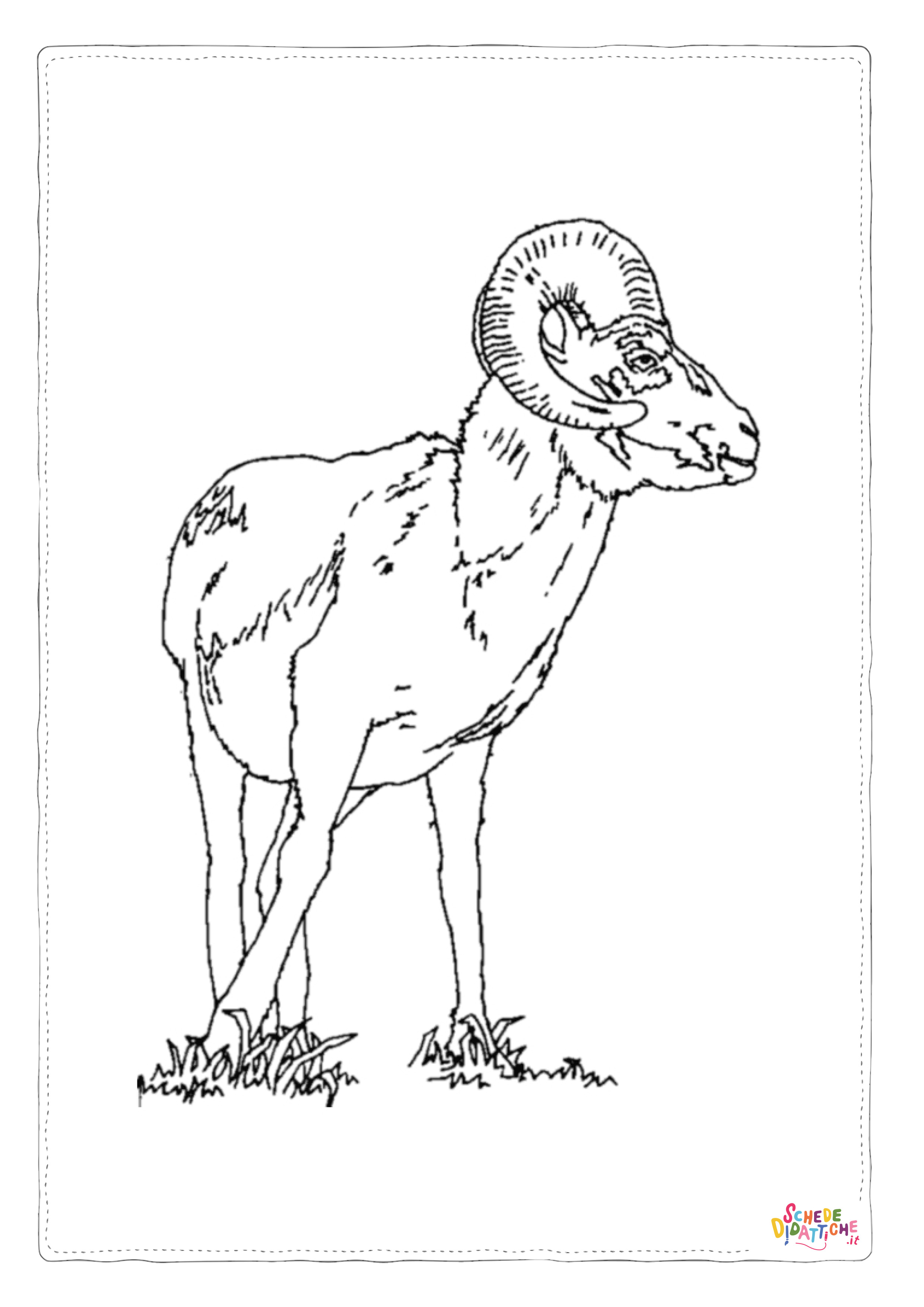 Disegno "Disegno di capra da stampare e colorare 19" Disegno di capra da stampare e colorare 19