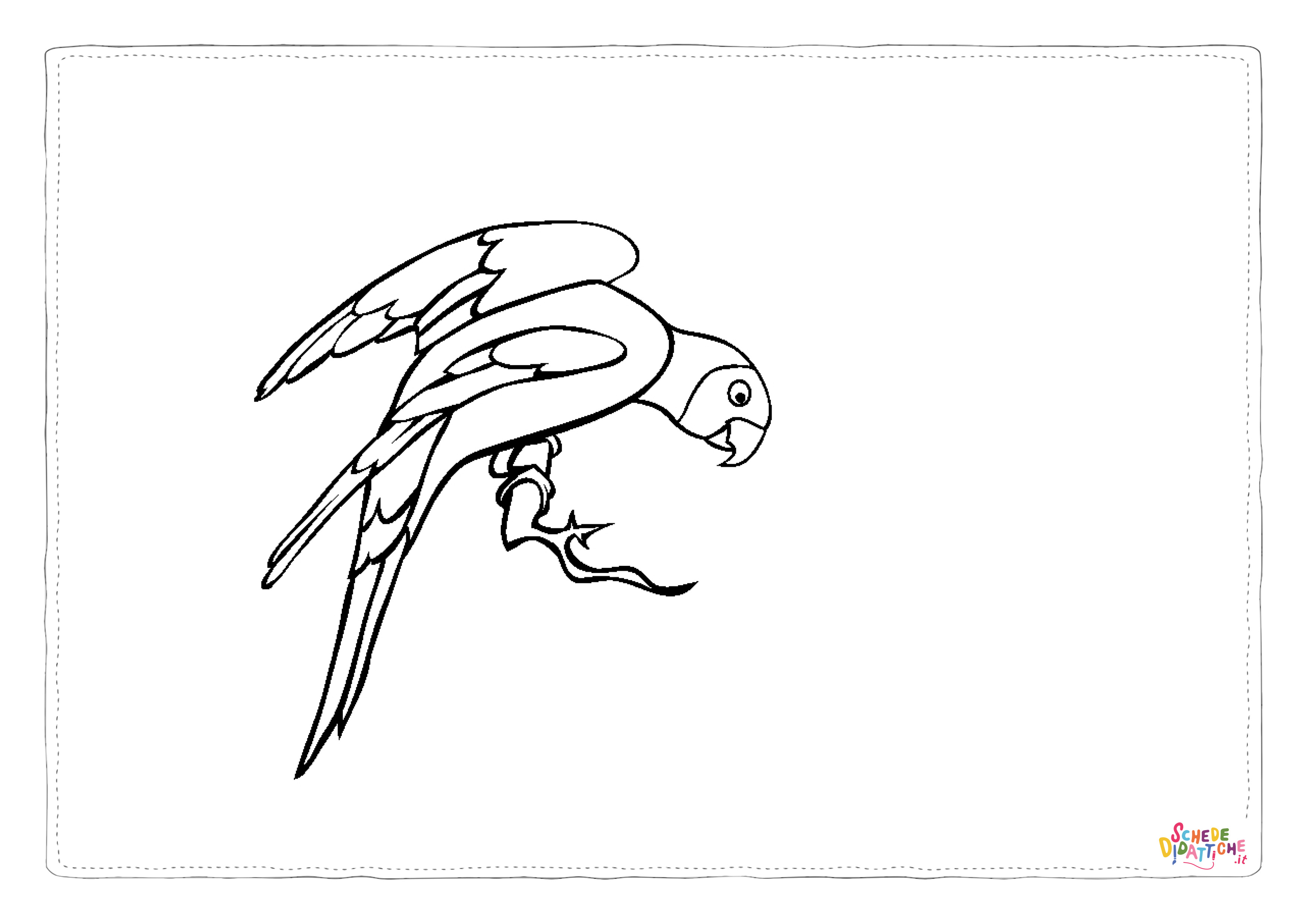 Disegno "Disegno di pappagallo da stampare e colorare 11" Disegno di pappagallo da stampare e colorare 11