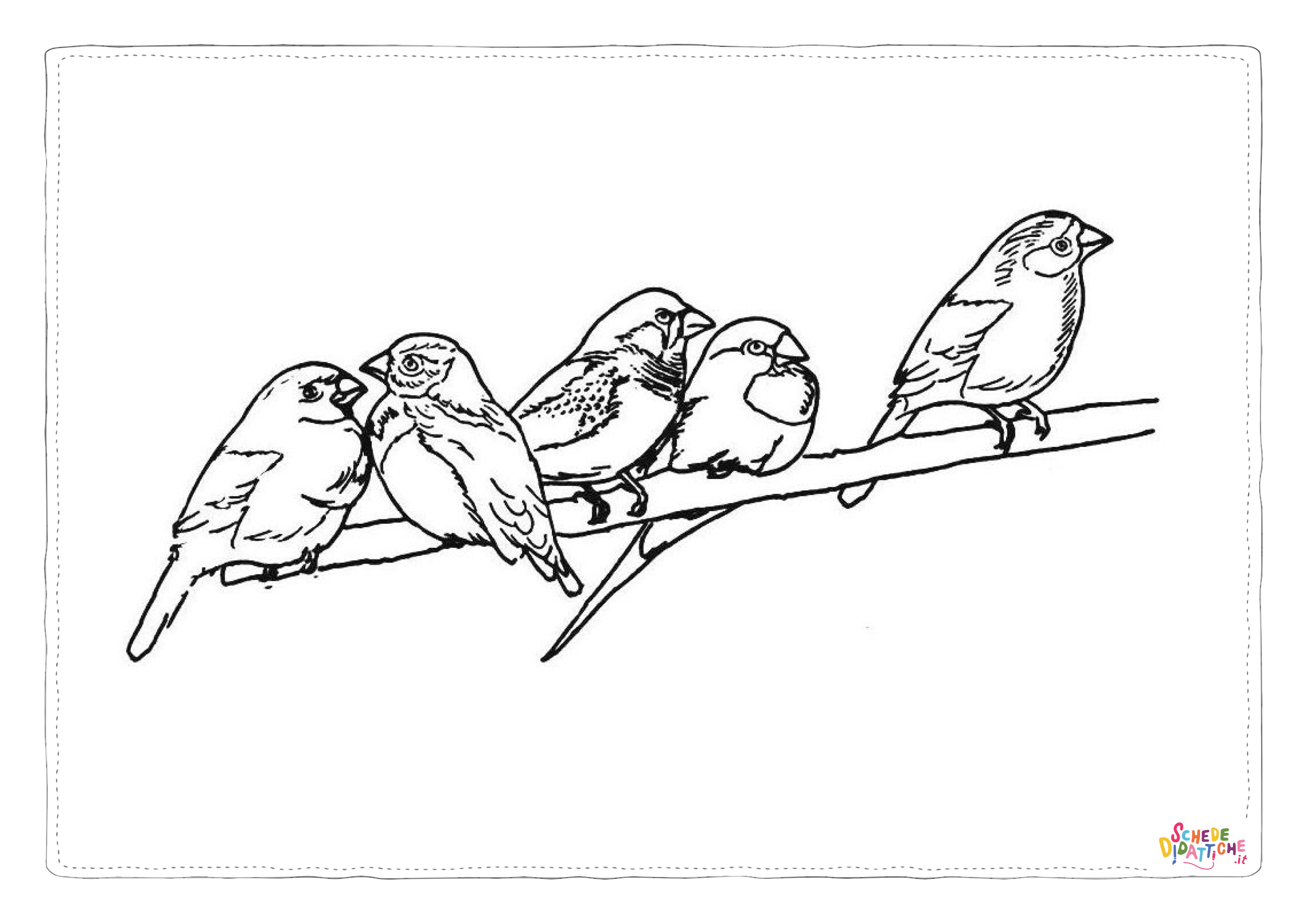 Disegno "Disegno di passero da stampare e colorare 61" Disegno di passero da stampare e colorare 61