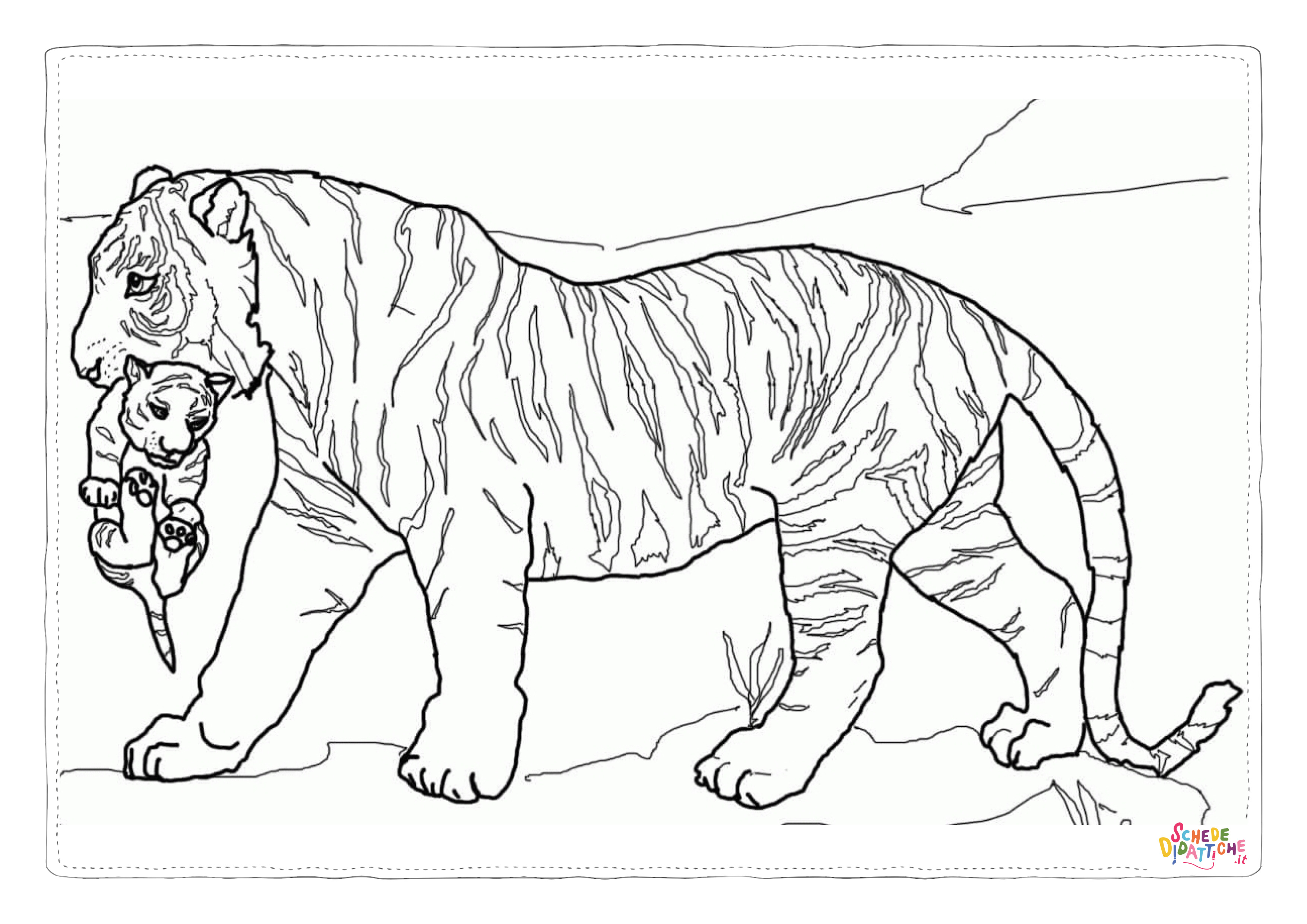 Disegno di tigre da stampare e colorare 36