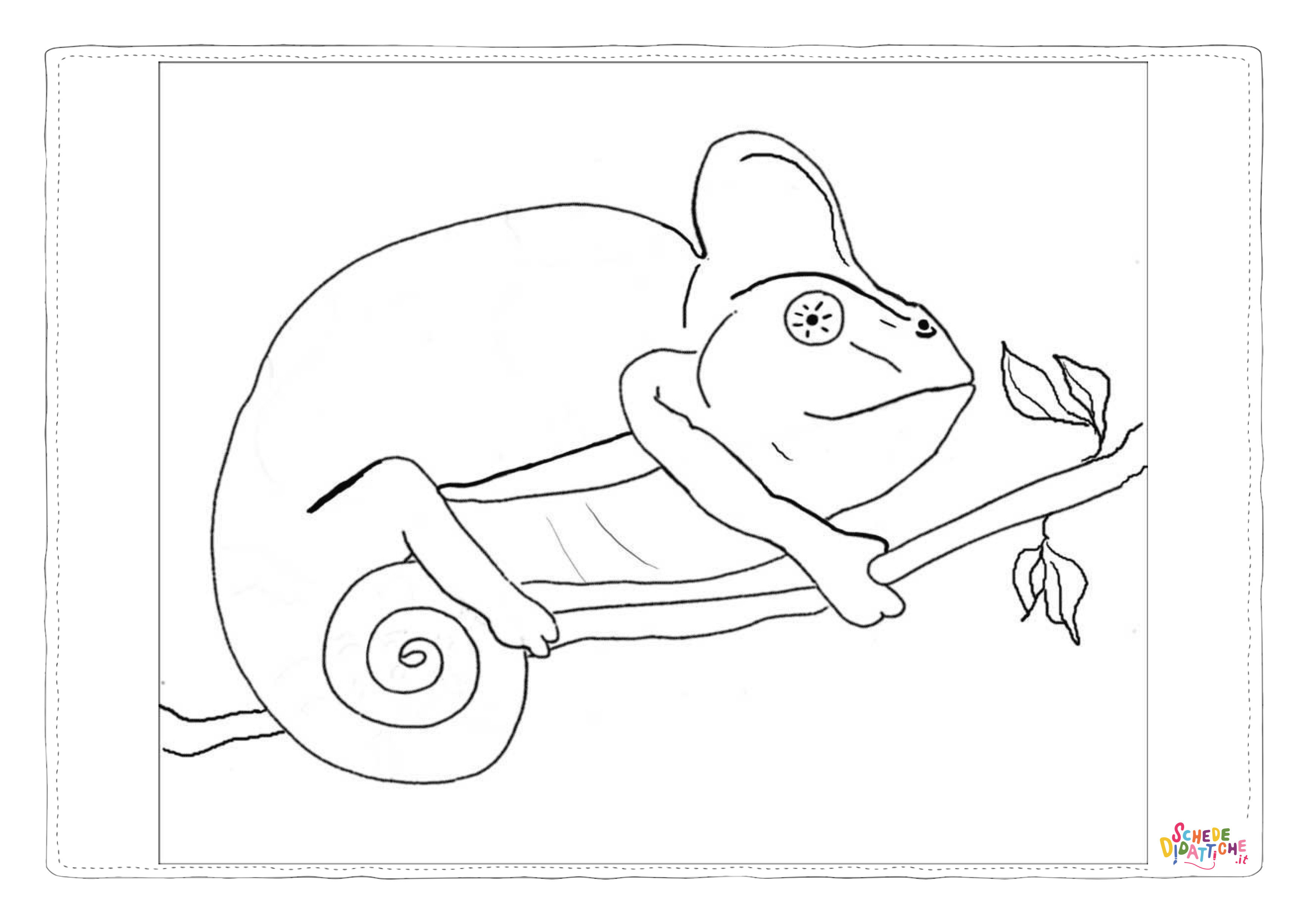 Disegno "Disegno di camaleonte da stampare e colorare 15" Disegno di camaleonte da stampare e colorare 15