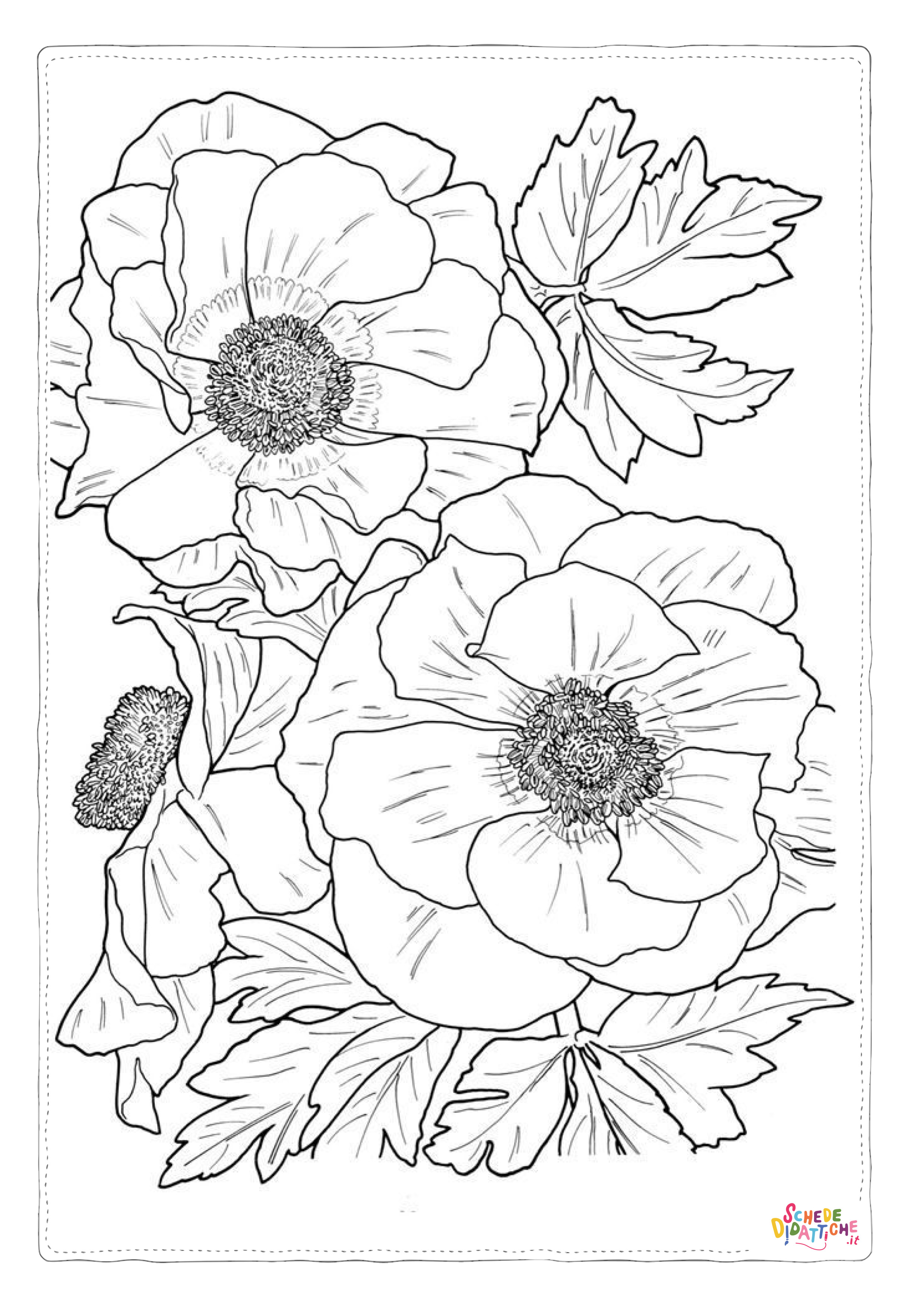 Disegno "Disegno di mandala da stampare e colorare 1590" Disegno di mandala da stampare e colorare 1590