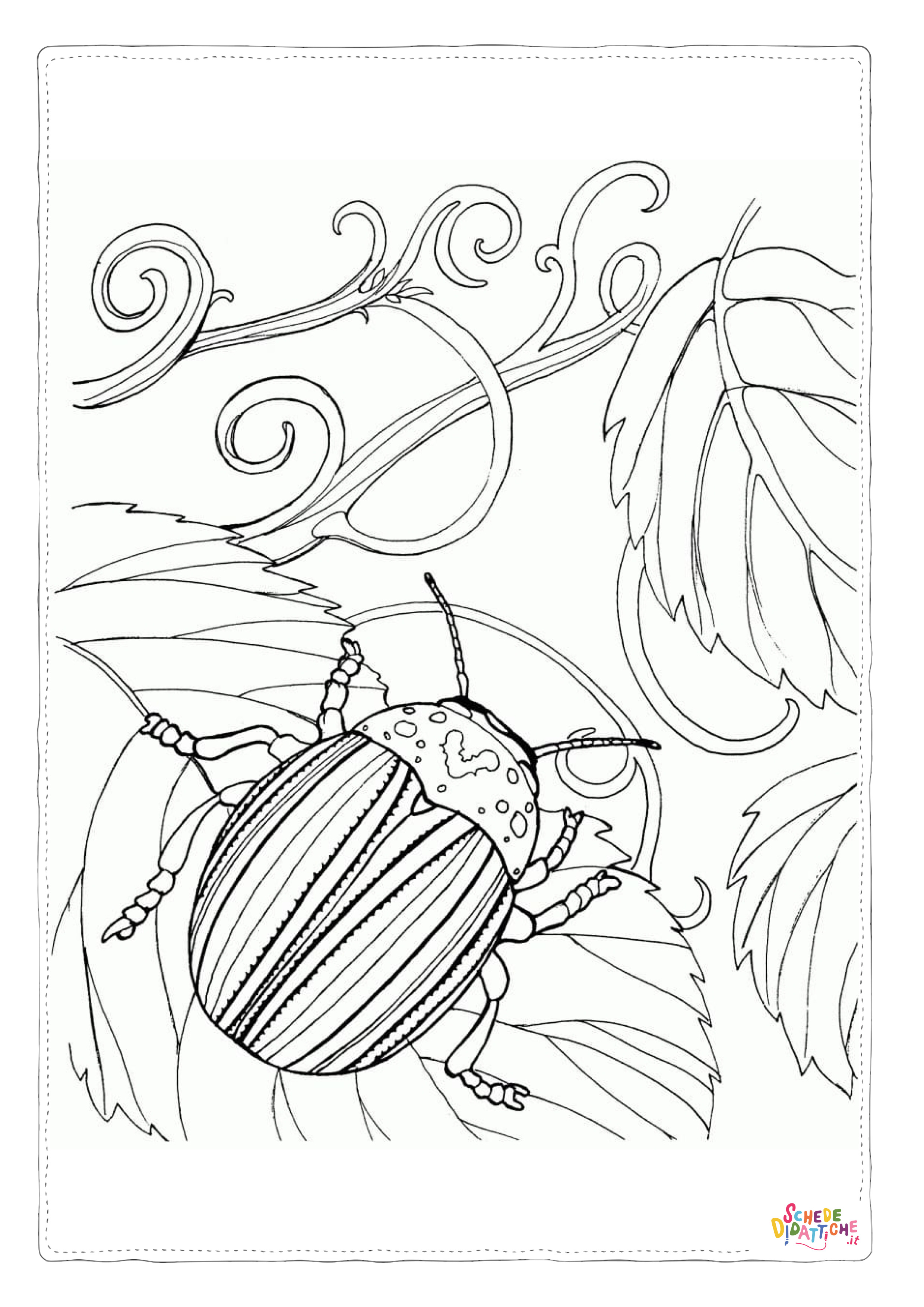 Disegno di coleottero da stampare e colorare 9