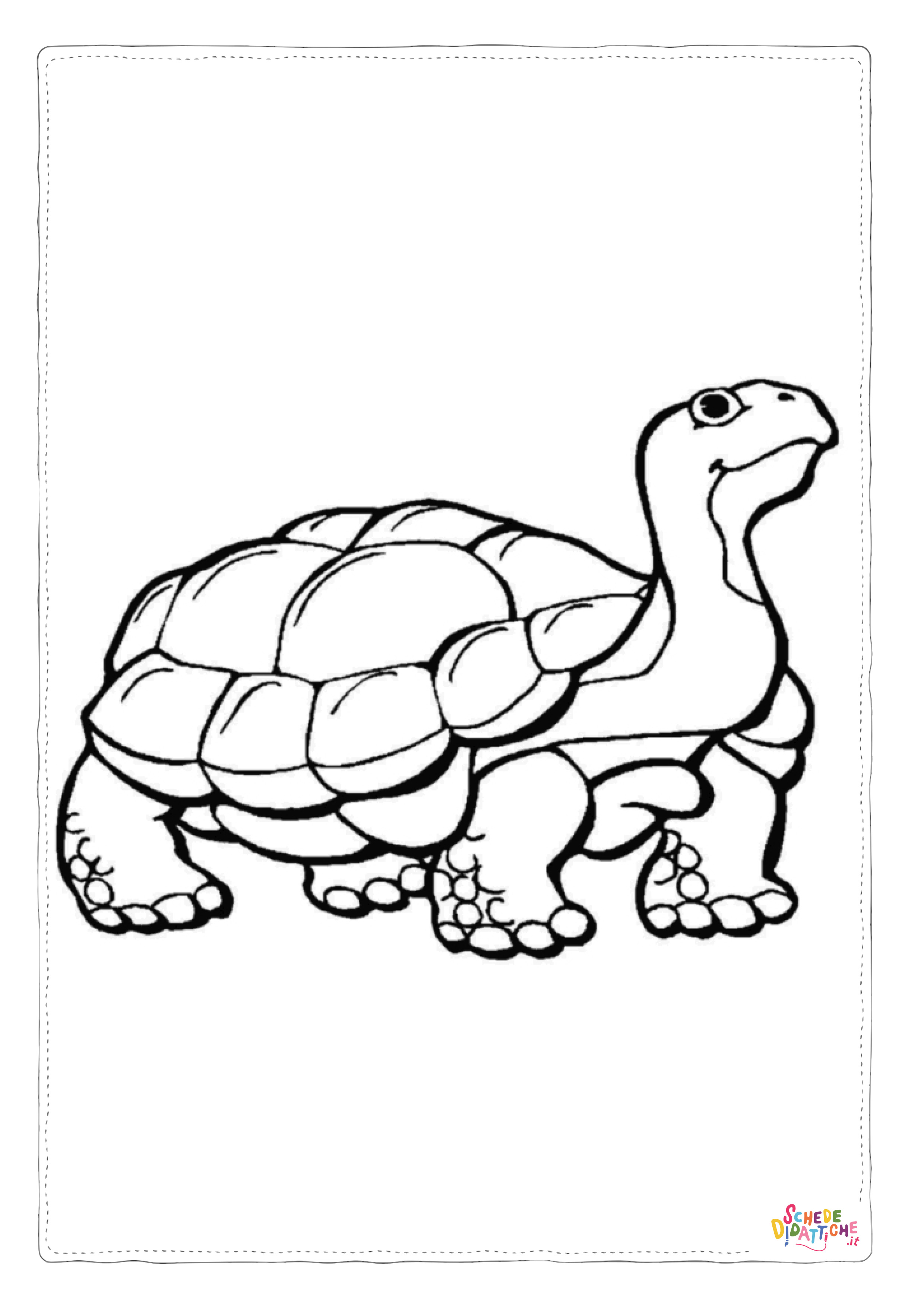 Disegno di tartaruga di terra da stampare e colorare 13