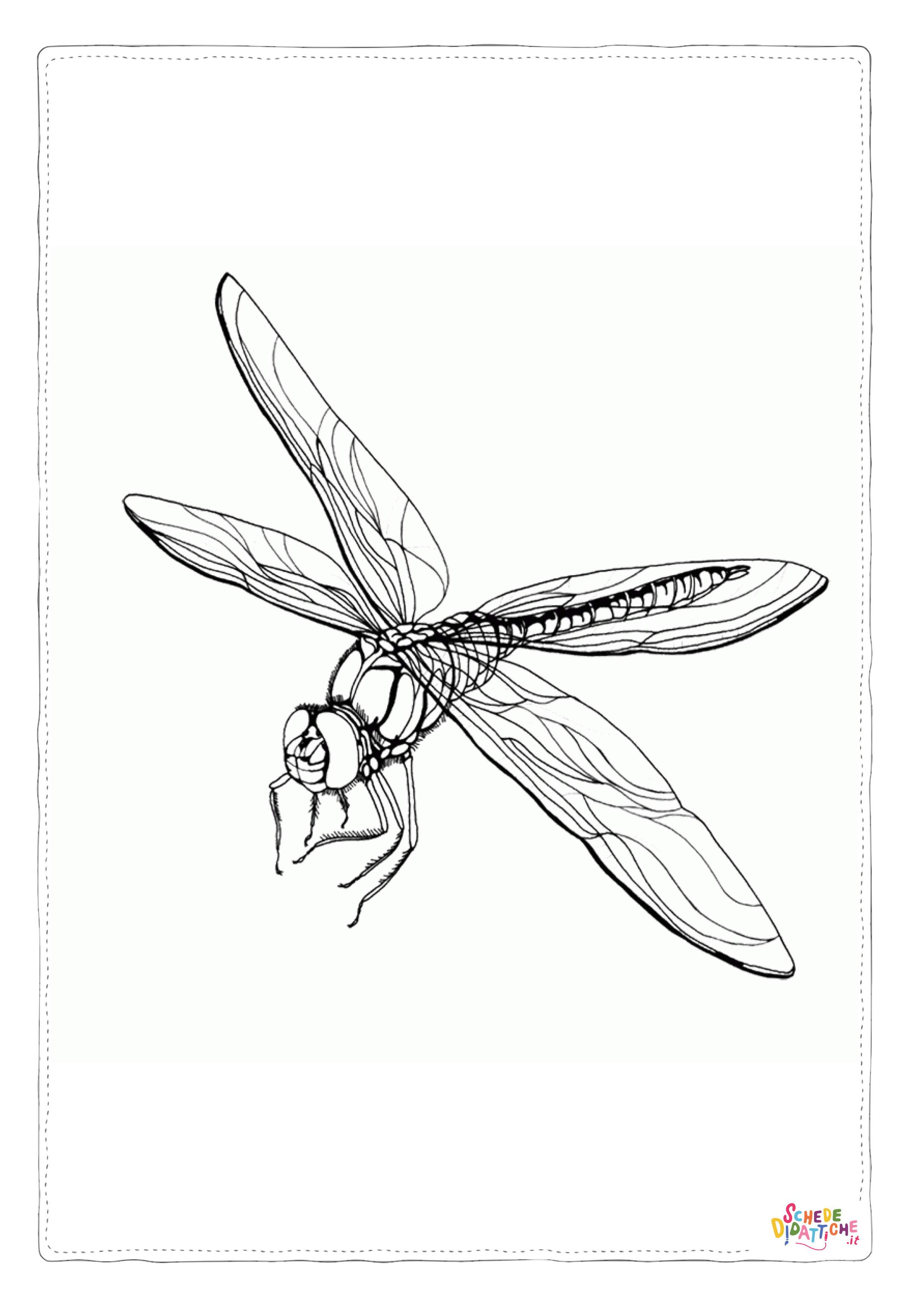 Disegno di libellula da stampare e colorare 35