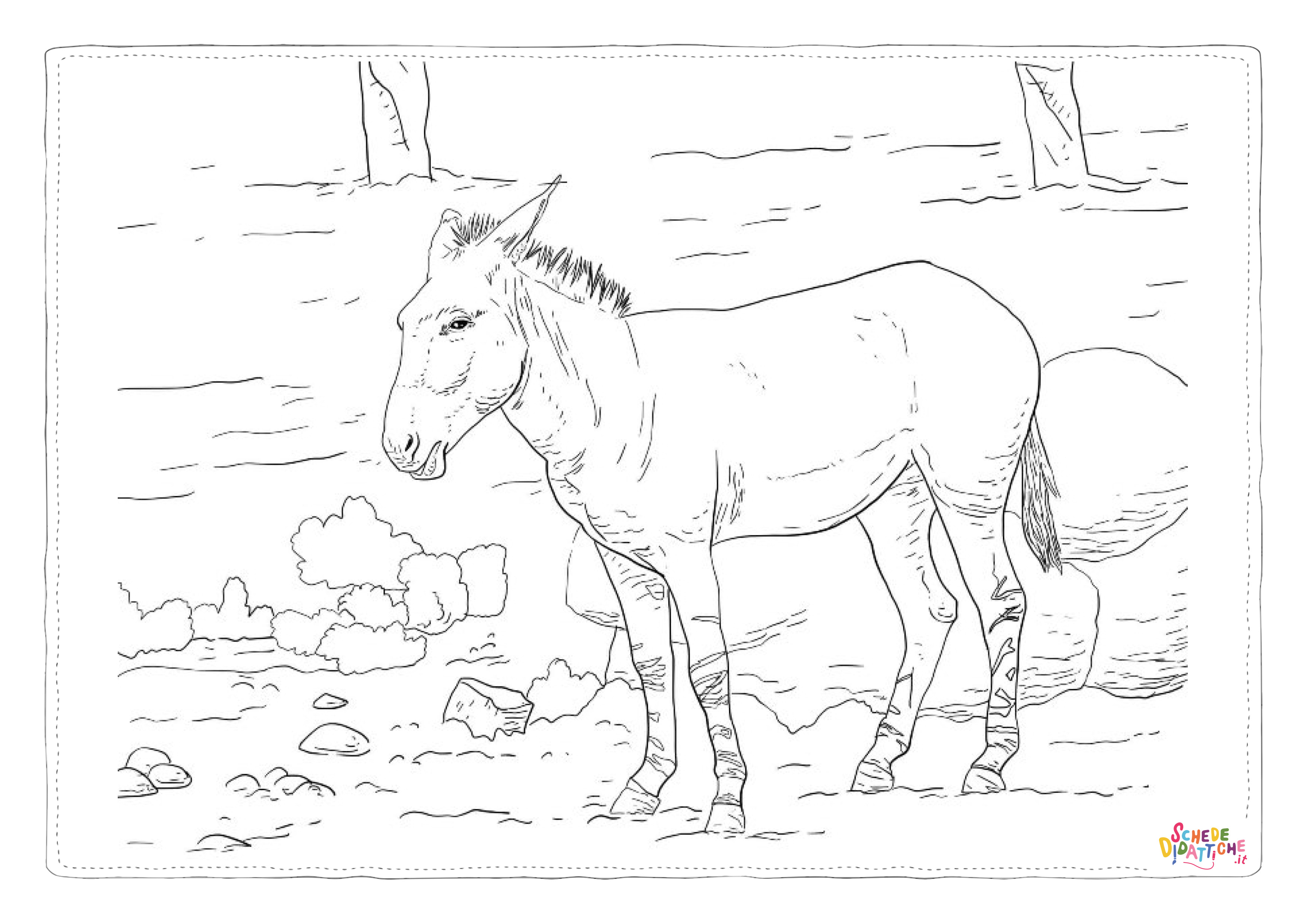 Disegno "Disegno di asino da stampare e colorare 12" Disegno di asino da stampare e colorare 12