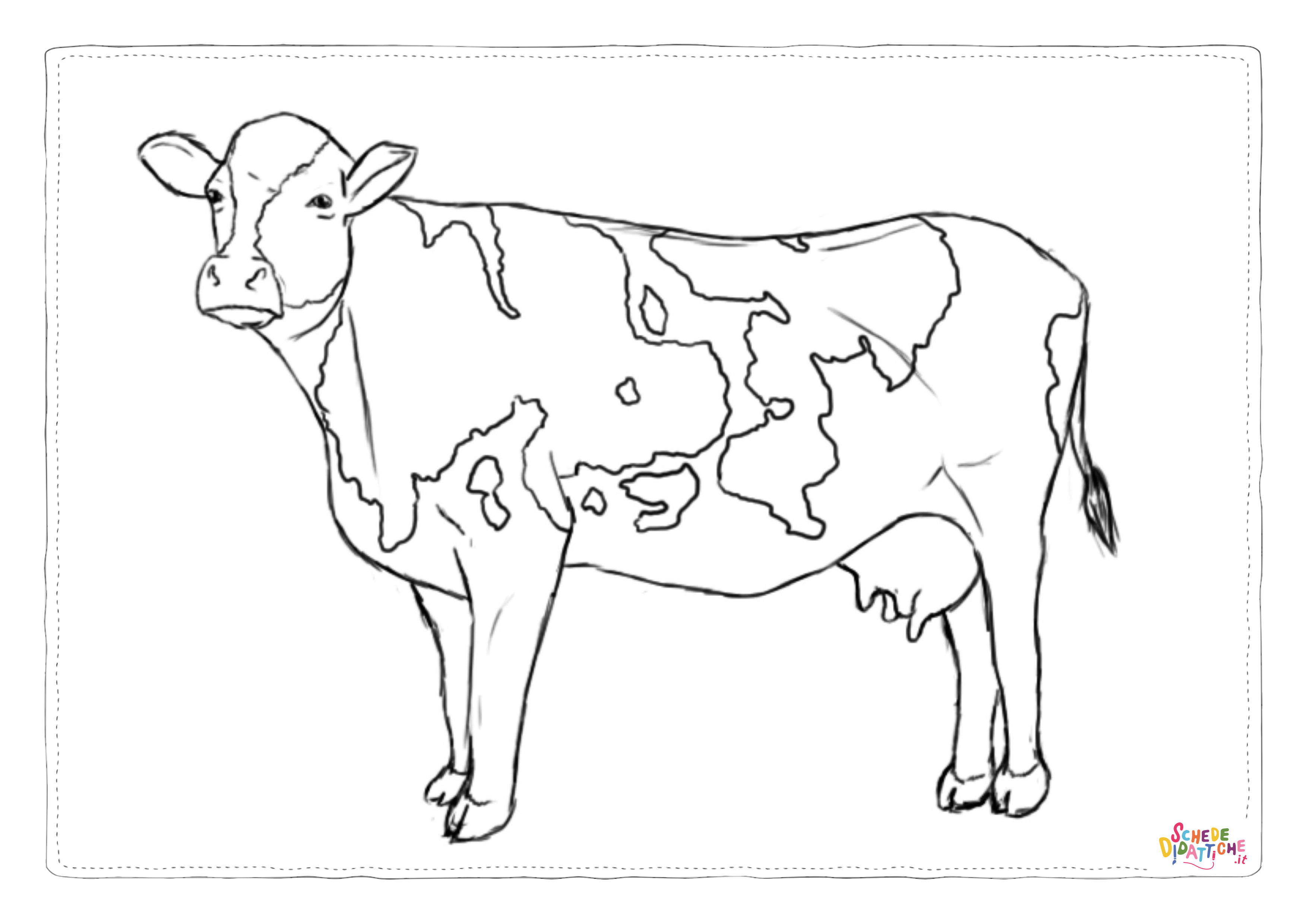 Disegno di mucca da stampare e colorare 29