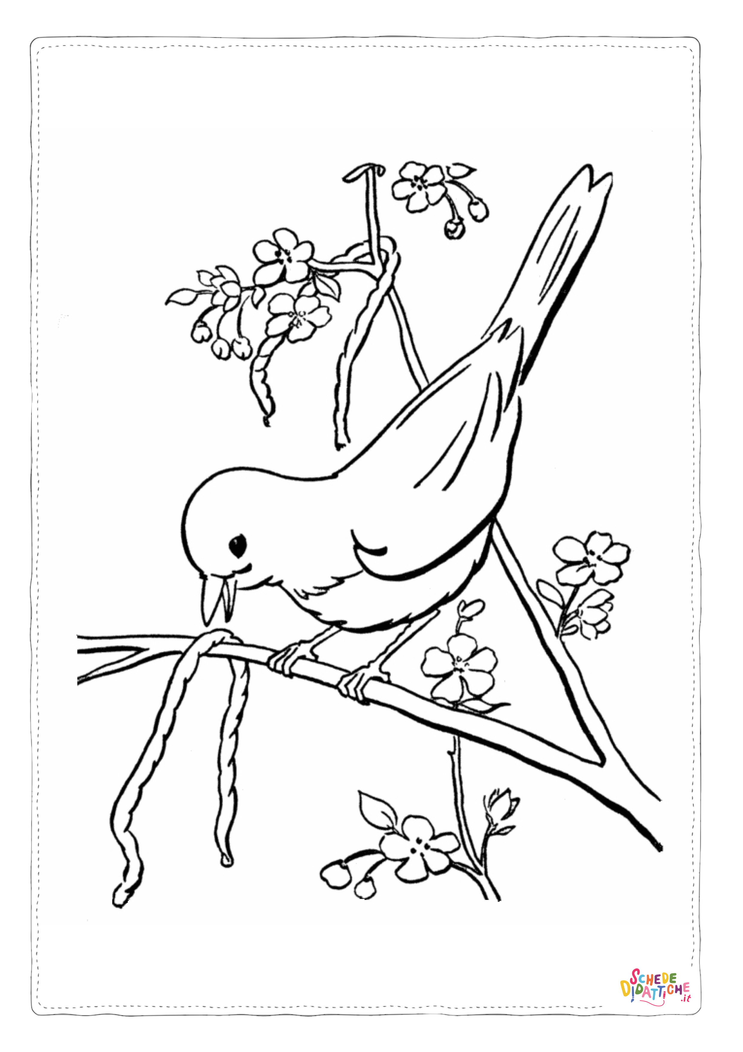 Disegno "Disegno di passero da stampare e colorare 66" Disegno di passero da stampare e colorare 66