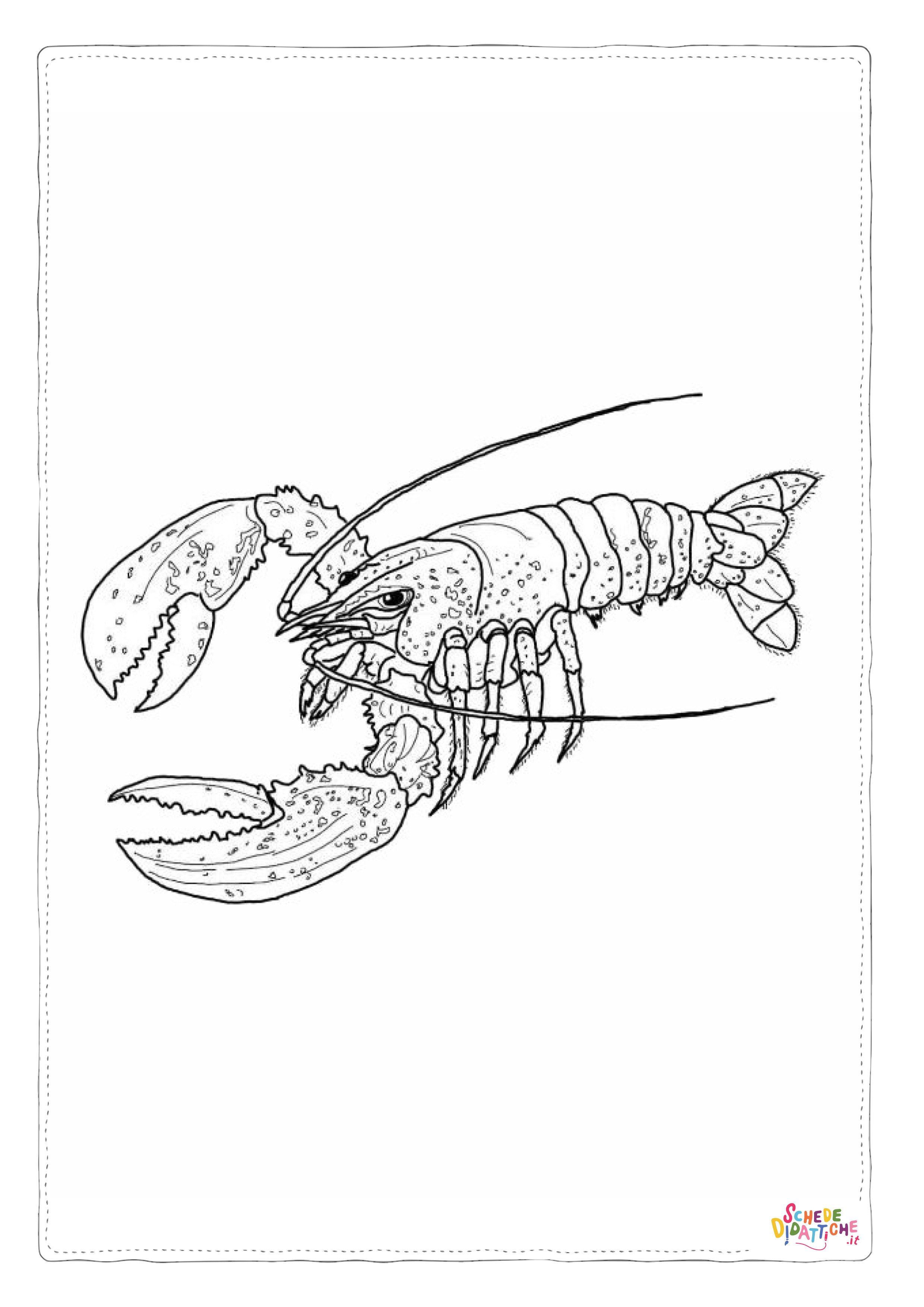 Disegno "Disegno di aragosta da stampare e colorare 15" Disegno di aragosta da stampare e colorare 15