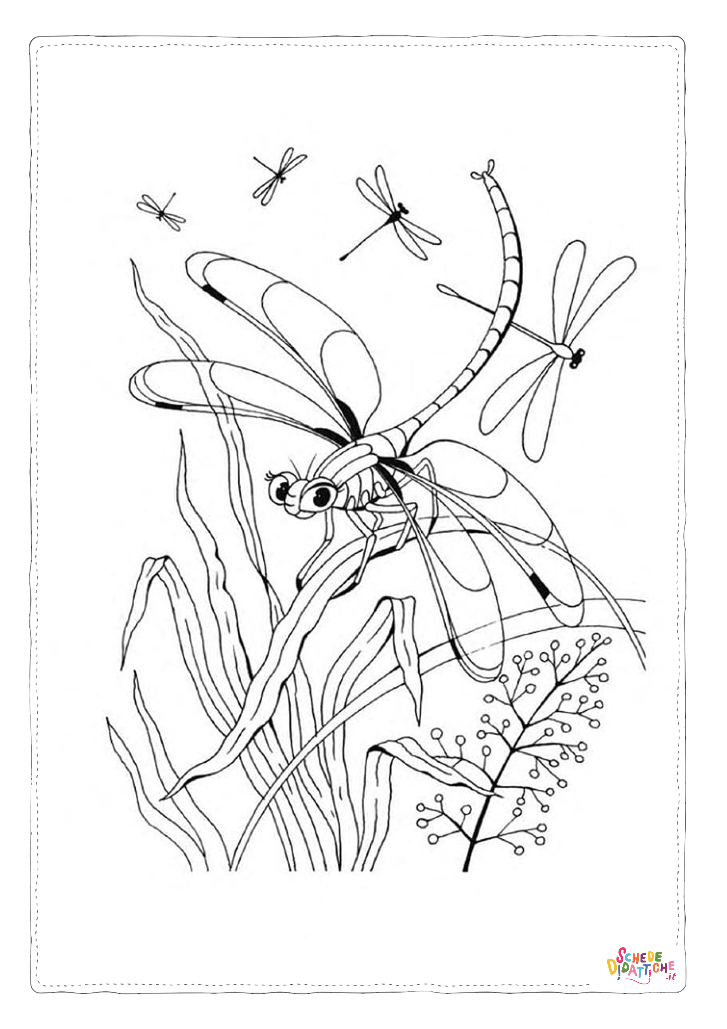 Disegno di libellula da stampare e colorare 30