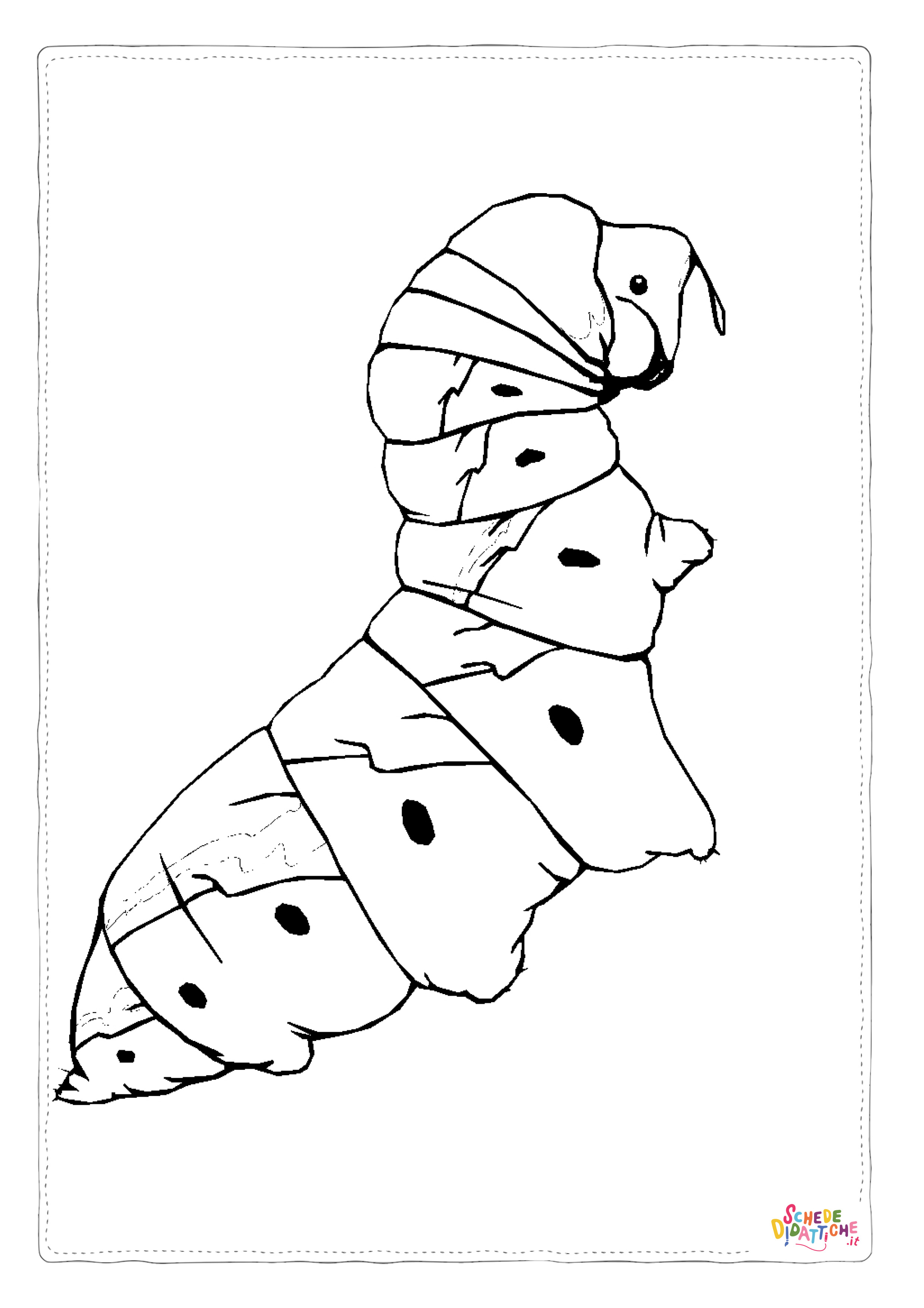 Disegno di lombrico da stampare e colorare 15