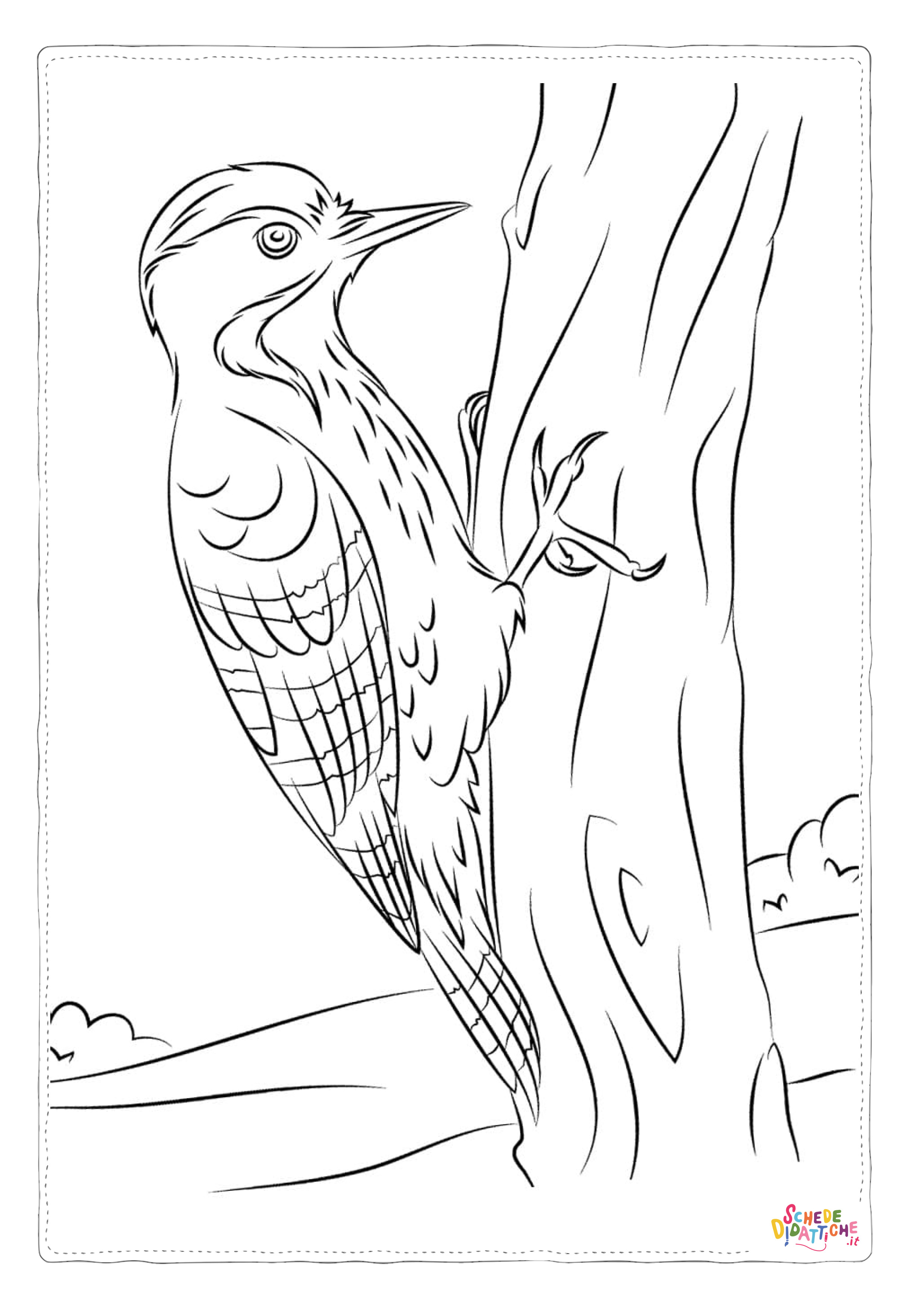 Disegno di passero da stampare e colorare 114