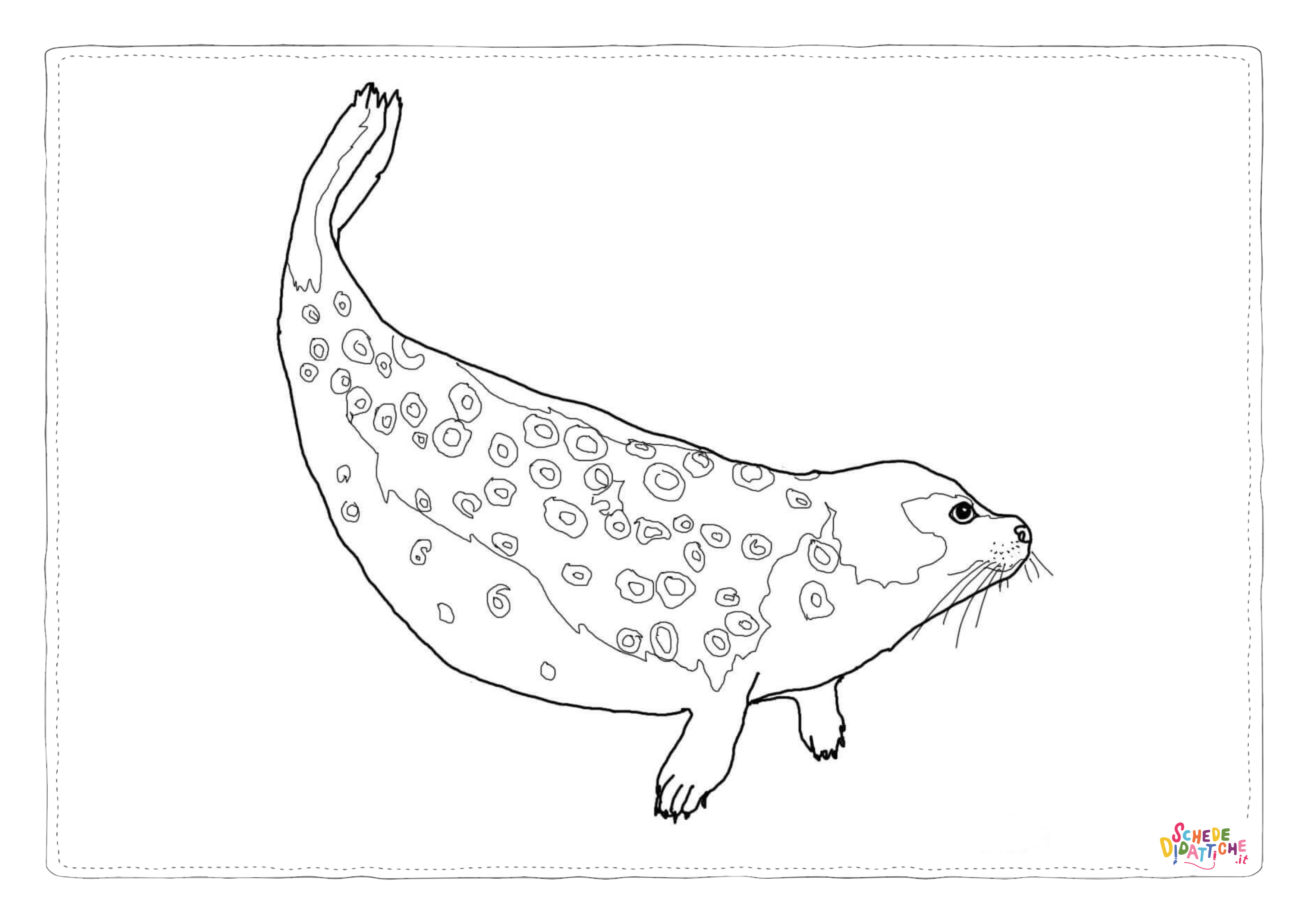 Disegno "Disegno di foca da stampare e colorare 3" Disegno di foca da stampare e colorare 3