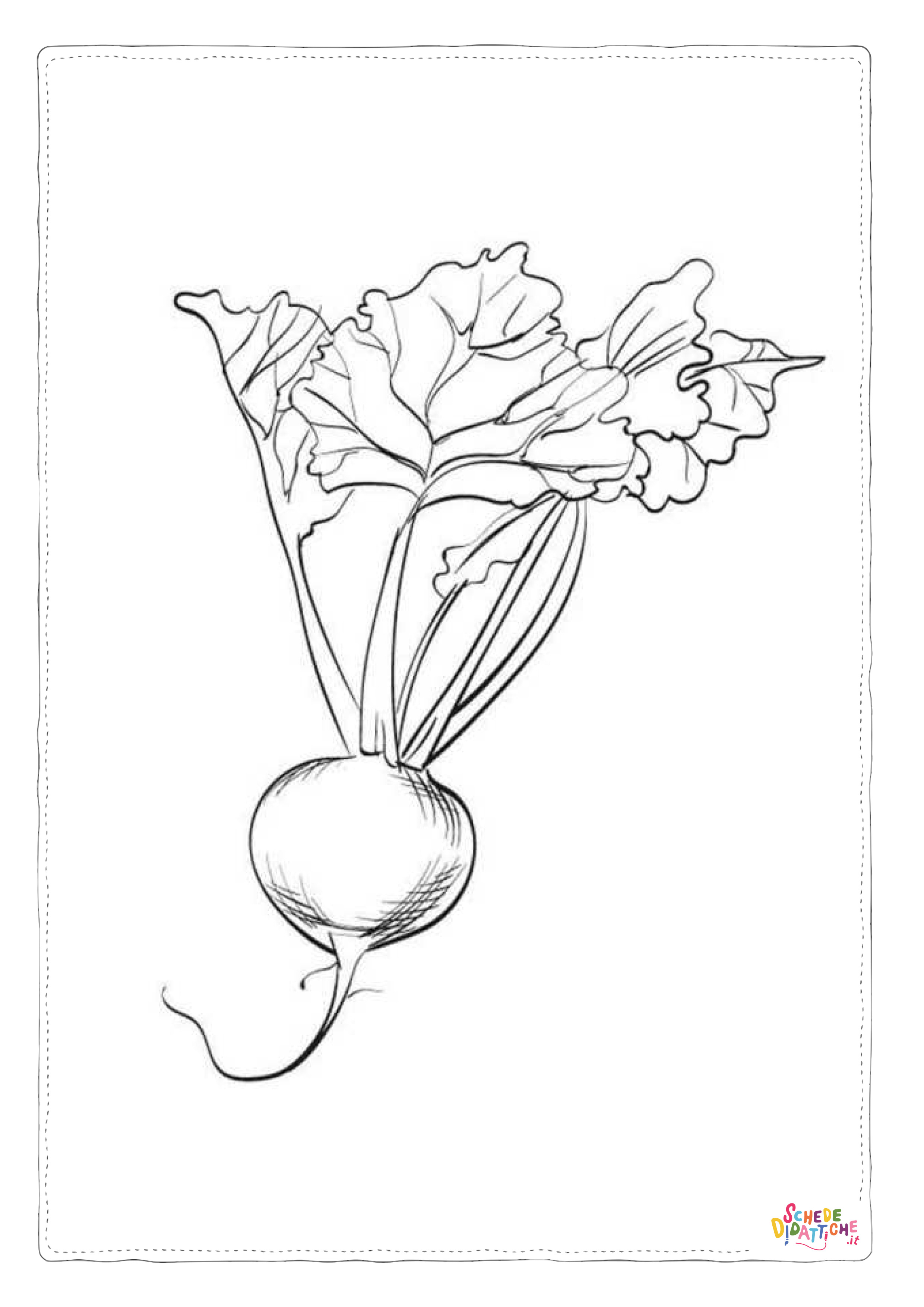 Disegno di rapa da stampare e colorare 1