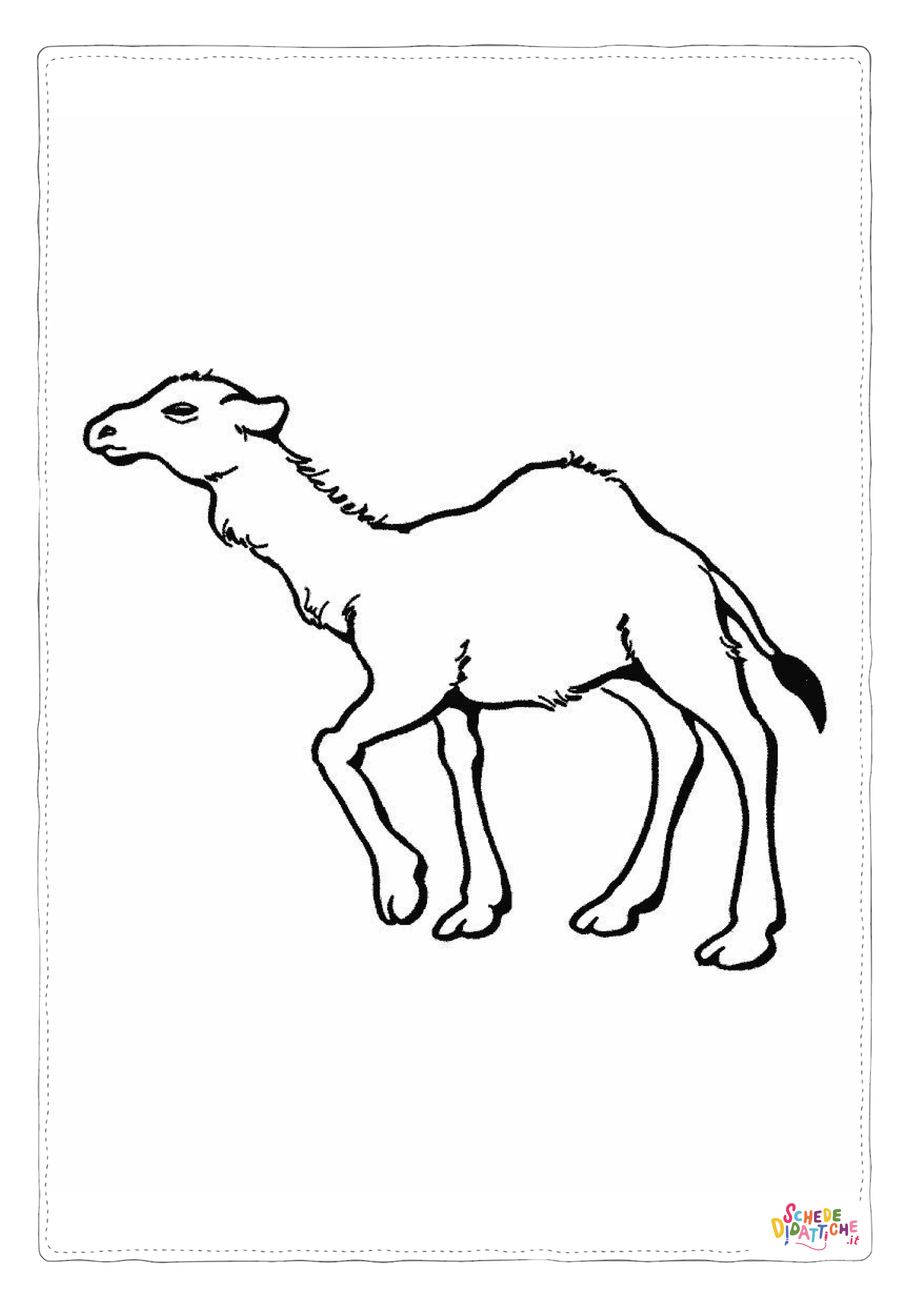 Disegno "Disegno di dromedario da stampare e colorare 7" Disegno di dromedario da stampare e colorare 7