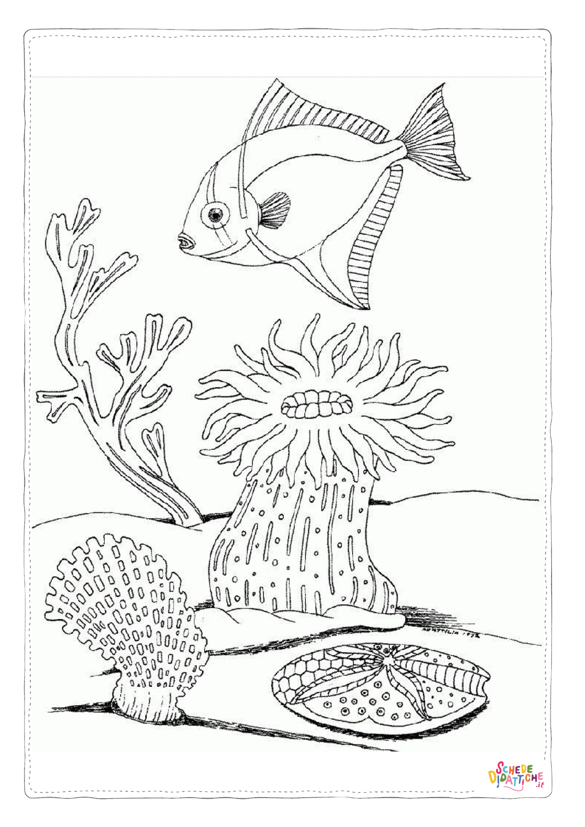 Disegno "Disegno di pesce da stampare e colorare 263" Disegno di pesce da stampare e colorare 263