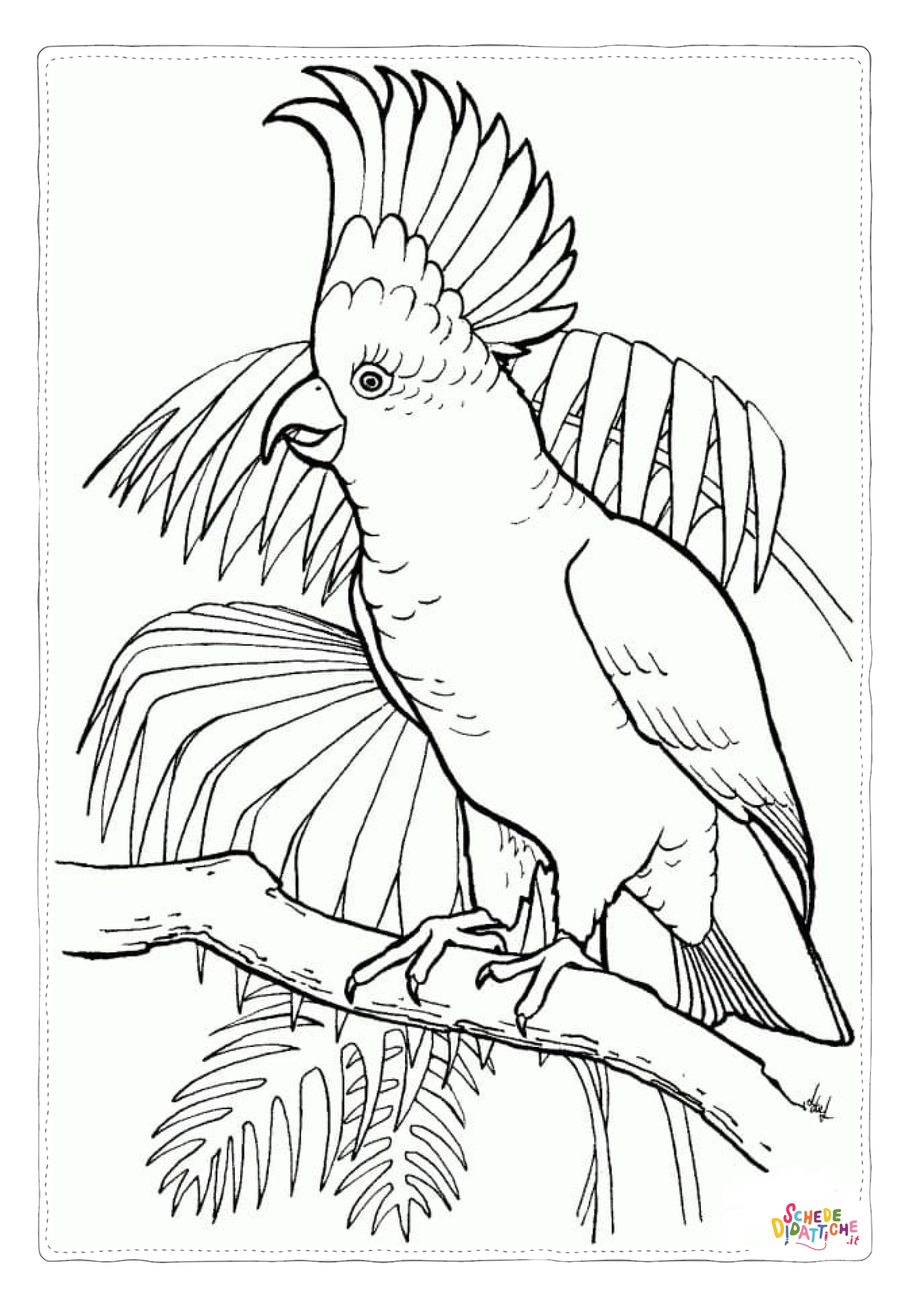 Disegno "Disegno di pappagallo da stampare e colorare 105" Disegno di pappagallo da stampare e colorare 105