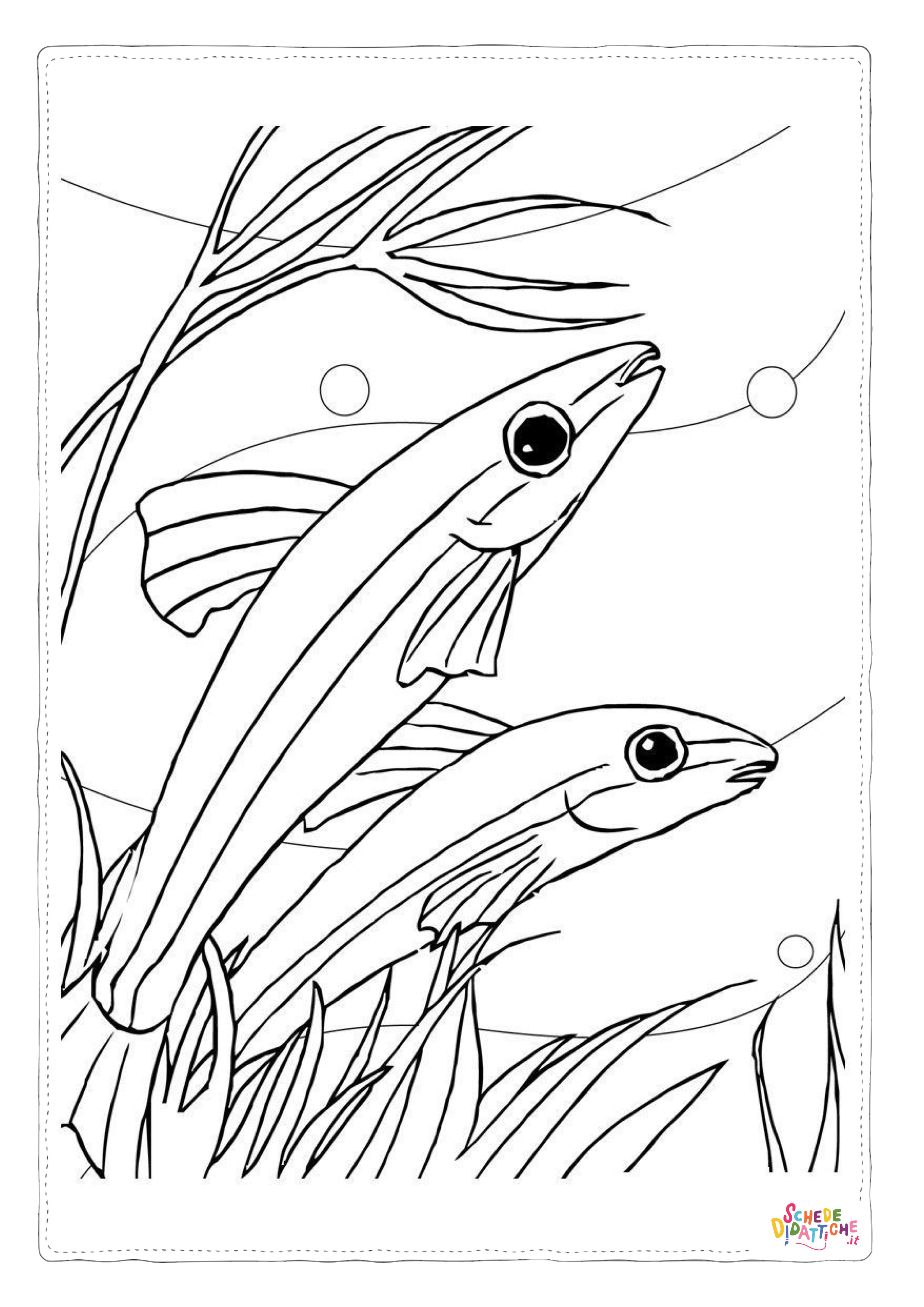 Disegno "Disegno di pesce da stampare e colorare 266" Disegno di pesce da stampare e colorare 266
