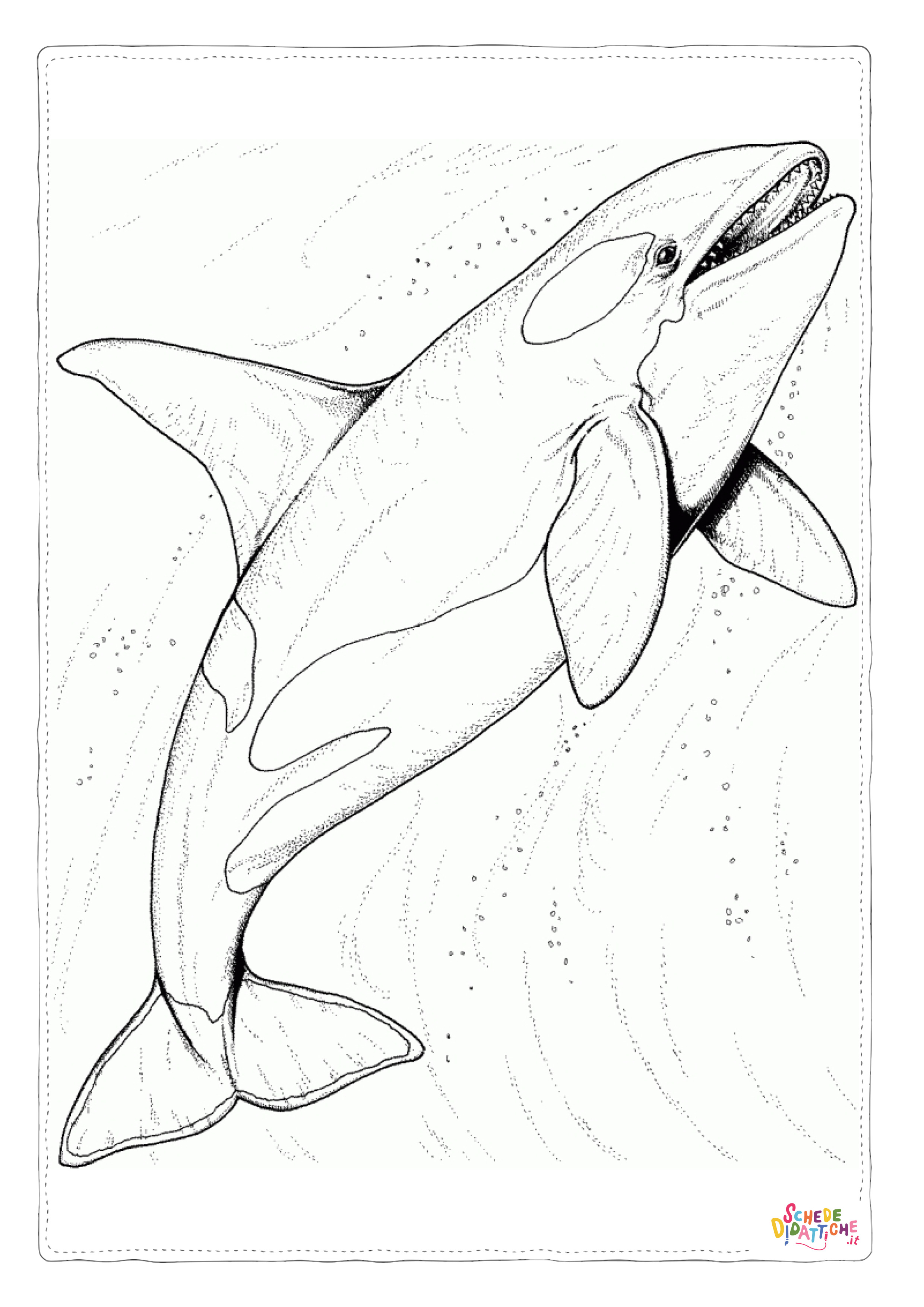 Disegno "Disegno di delfino da stampare e colorare 54" Disegno di delfino da stampare e colorare 54