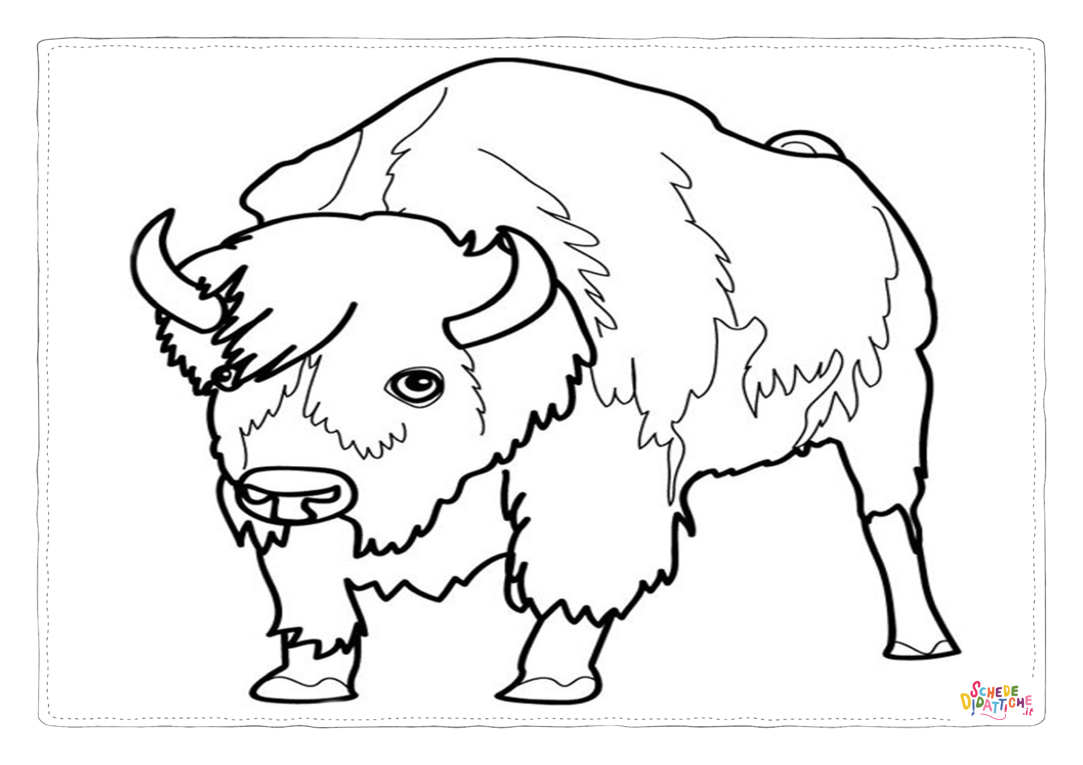 Disegno "Disegno di bufalo da stampare e colorare 6" Disegno di bufalo da stampare e colorare 6