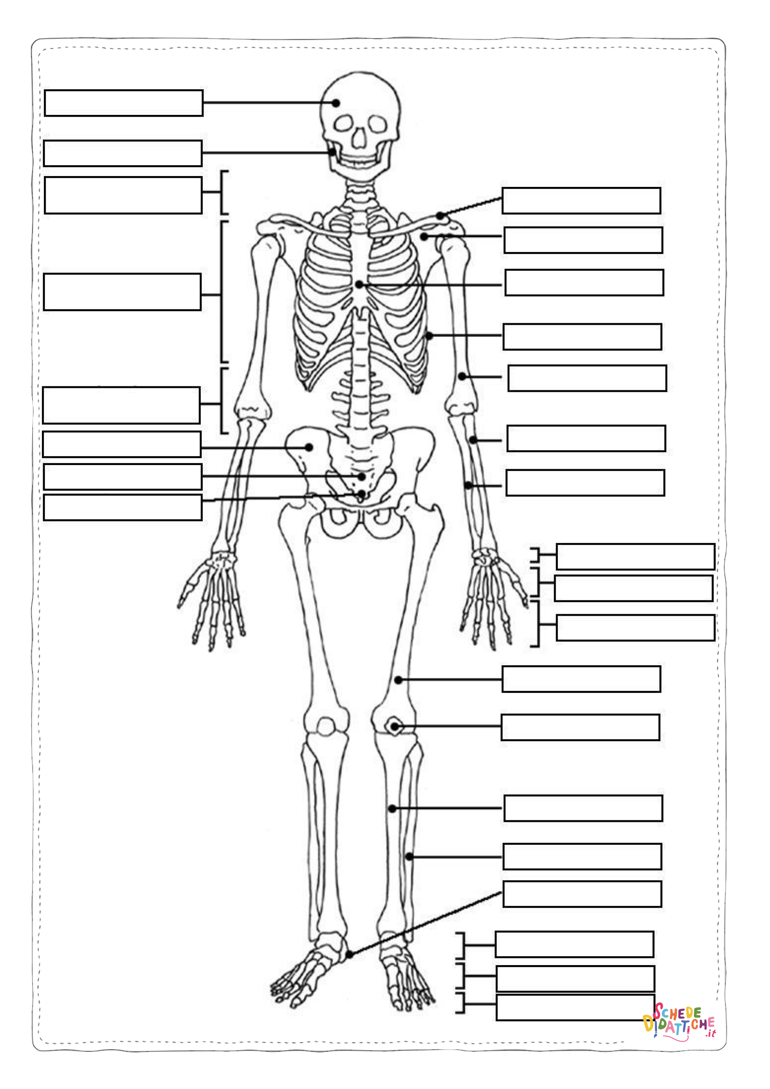 Disegno di parti del corpo da stampare e colorare 17