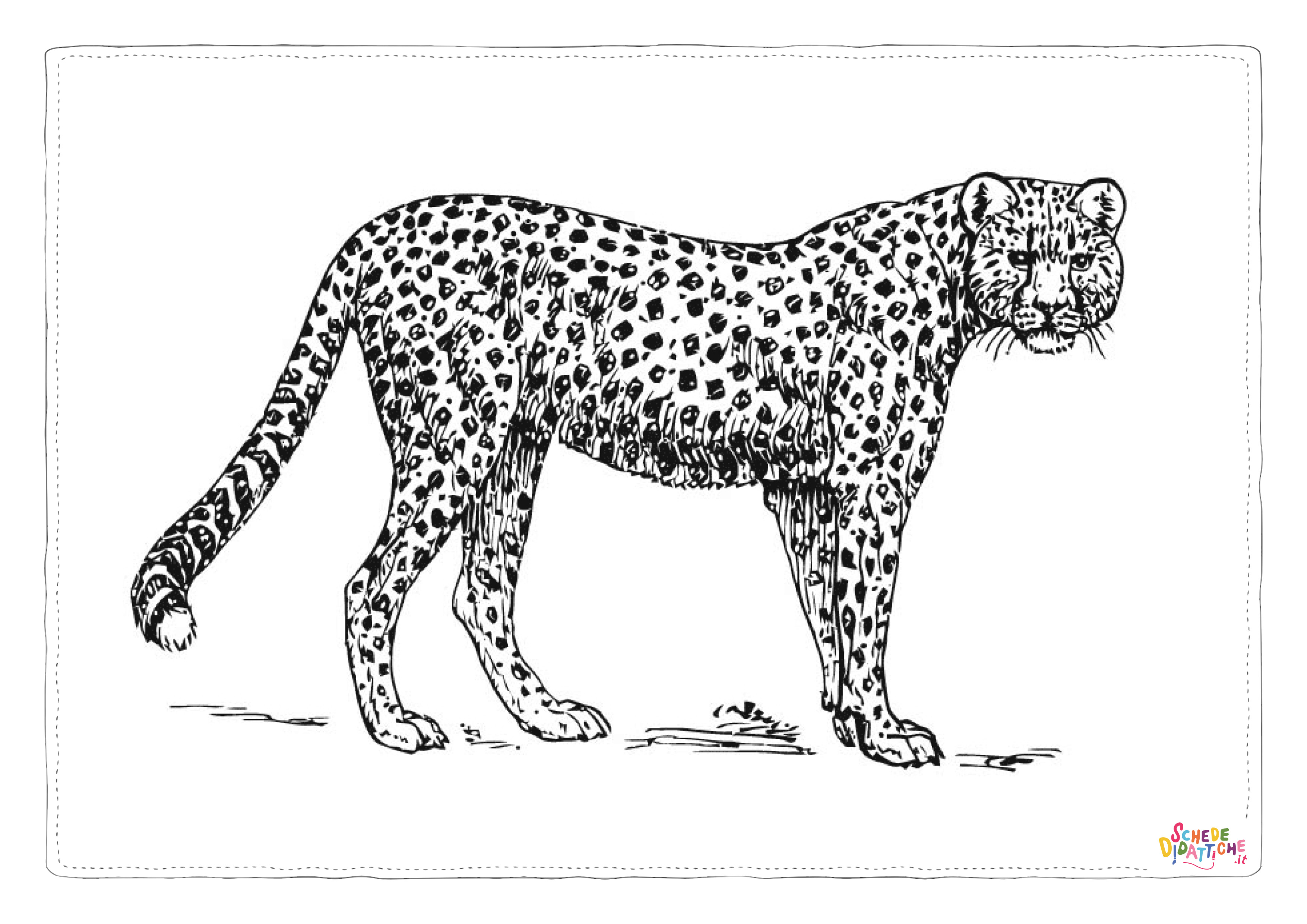 Disegno di leopardo da stampare e colorare 15