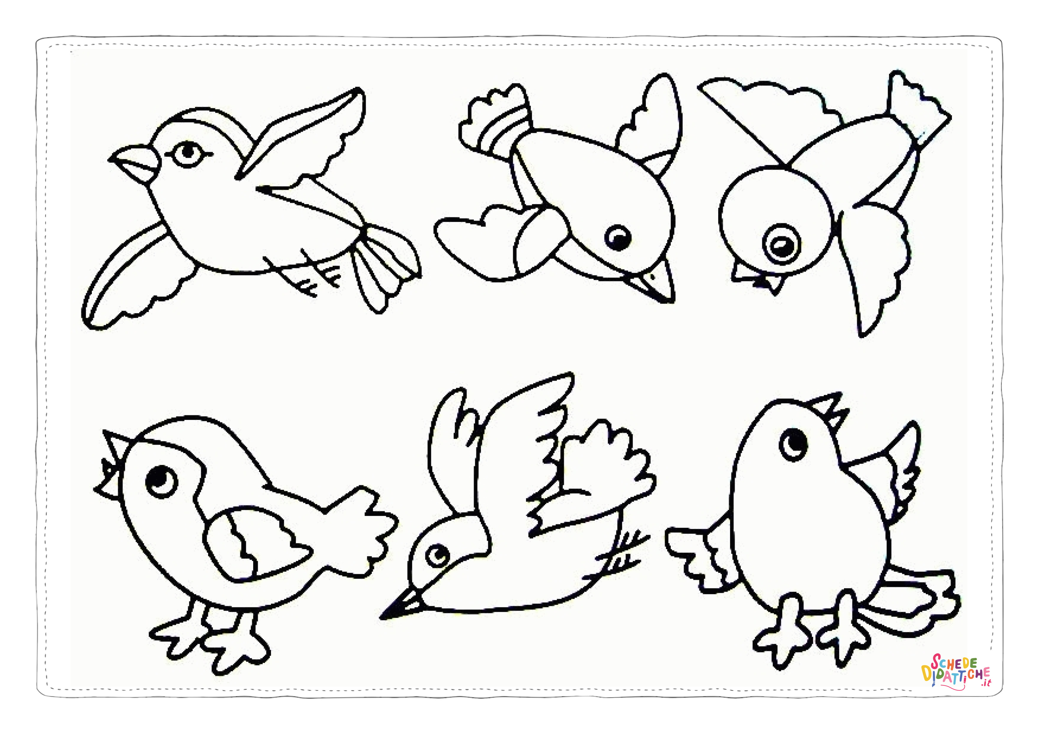 Disegno di passero da stampare e colorare