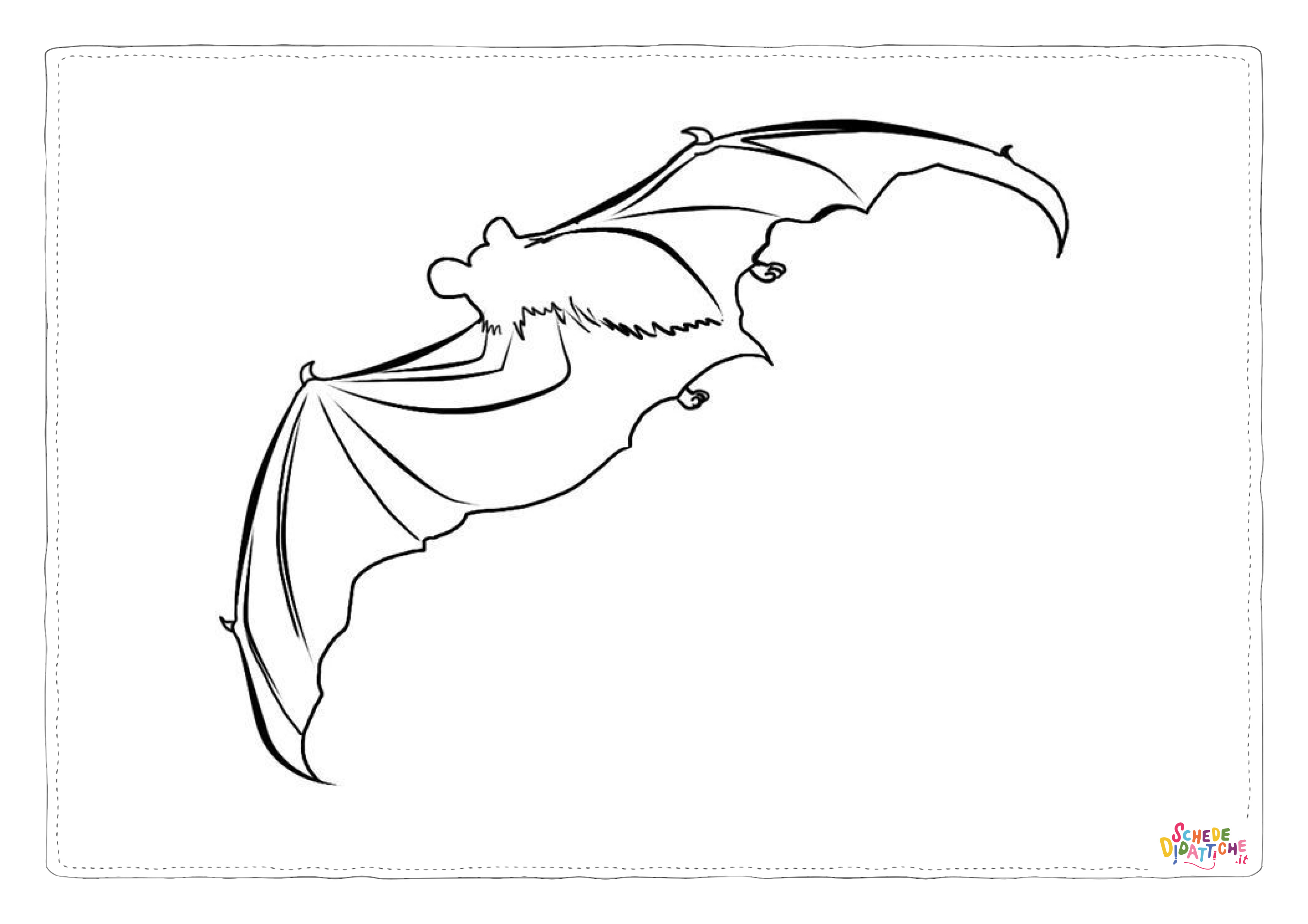 Disegno di pipistrello da stampare e colorare 24