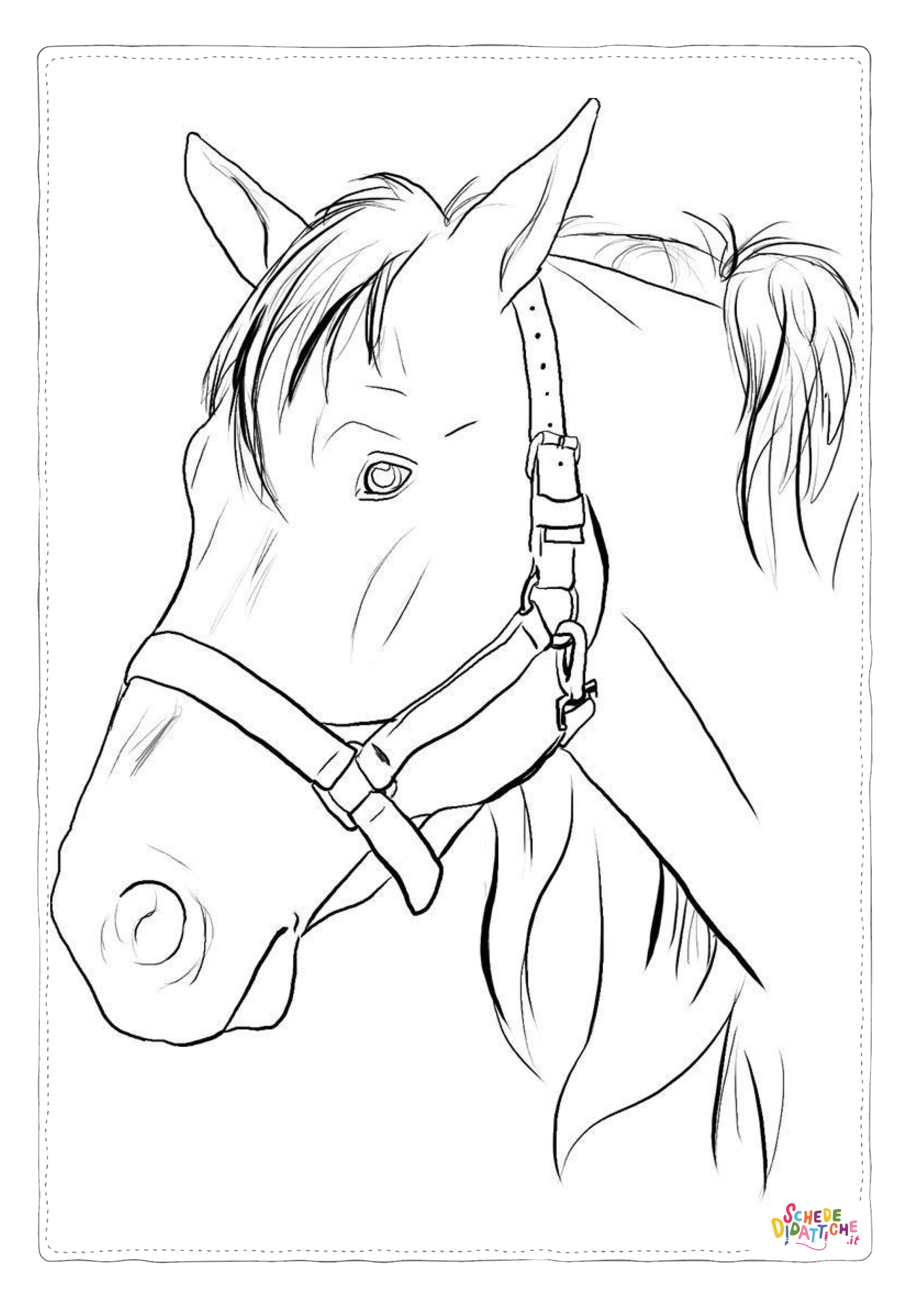 Disegno "Disegno di cavallo da stampare e colorare 216" Disegno di cavallo da stampare e colorare 216