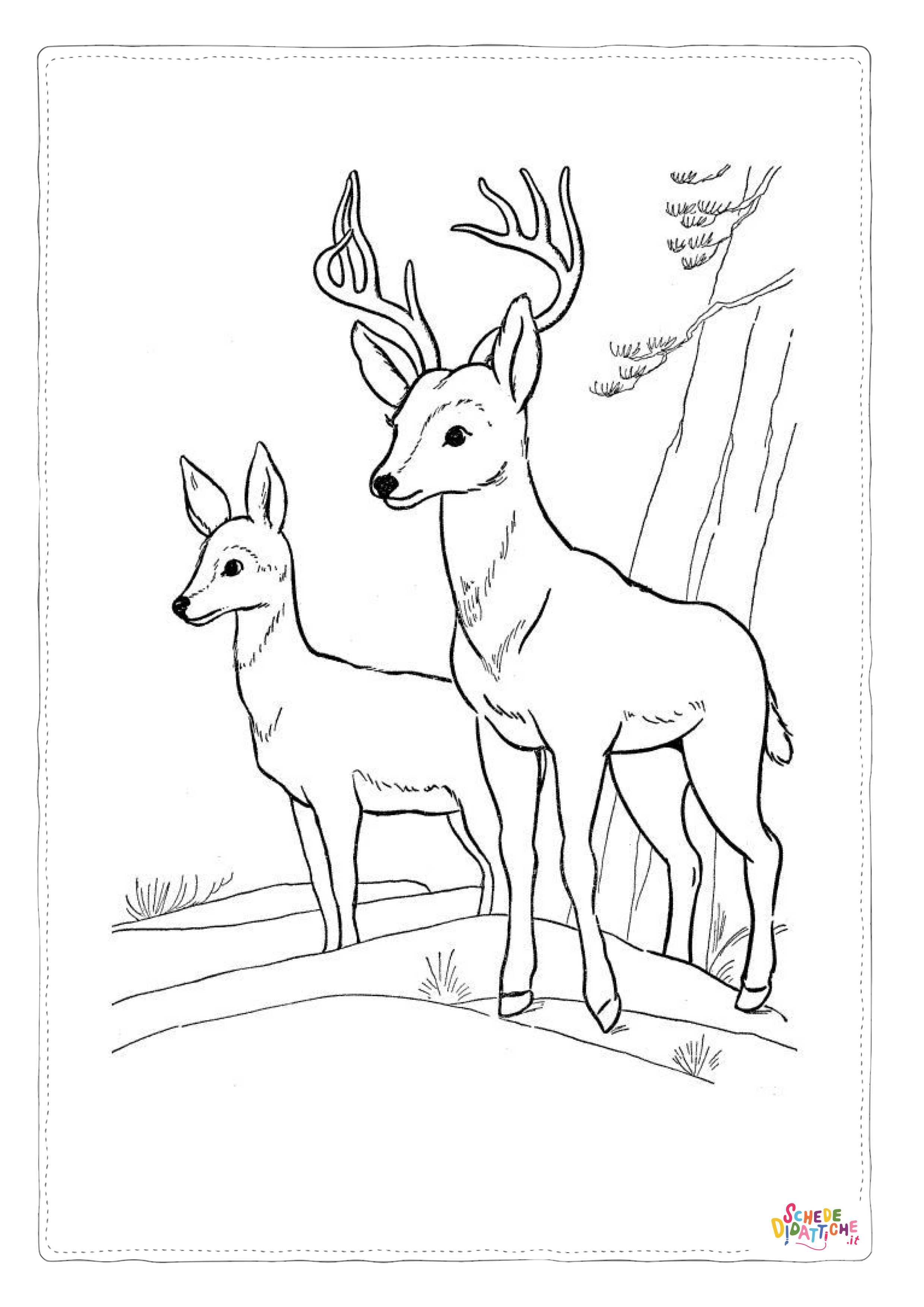 Disegno "Disegno di cervo da stampare e colorare 39" Disegno di cervo da stampare e colorare 39