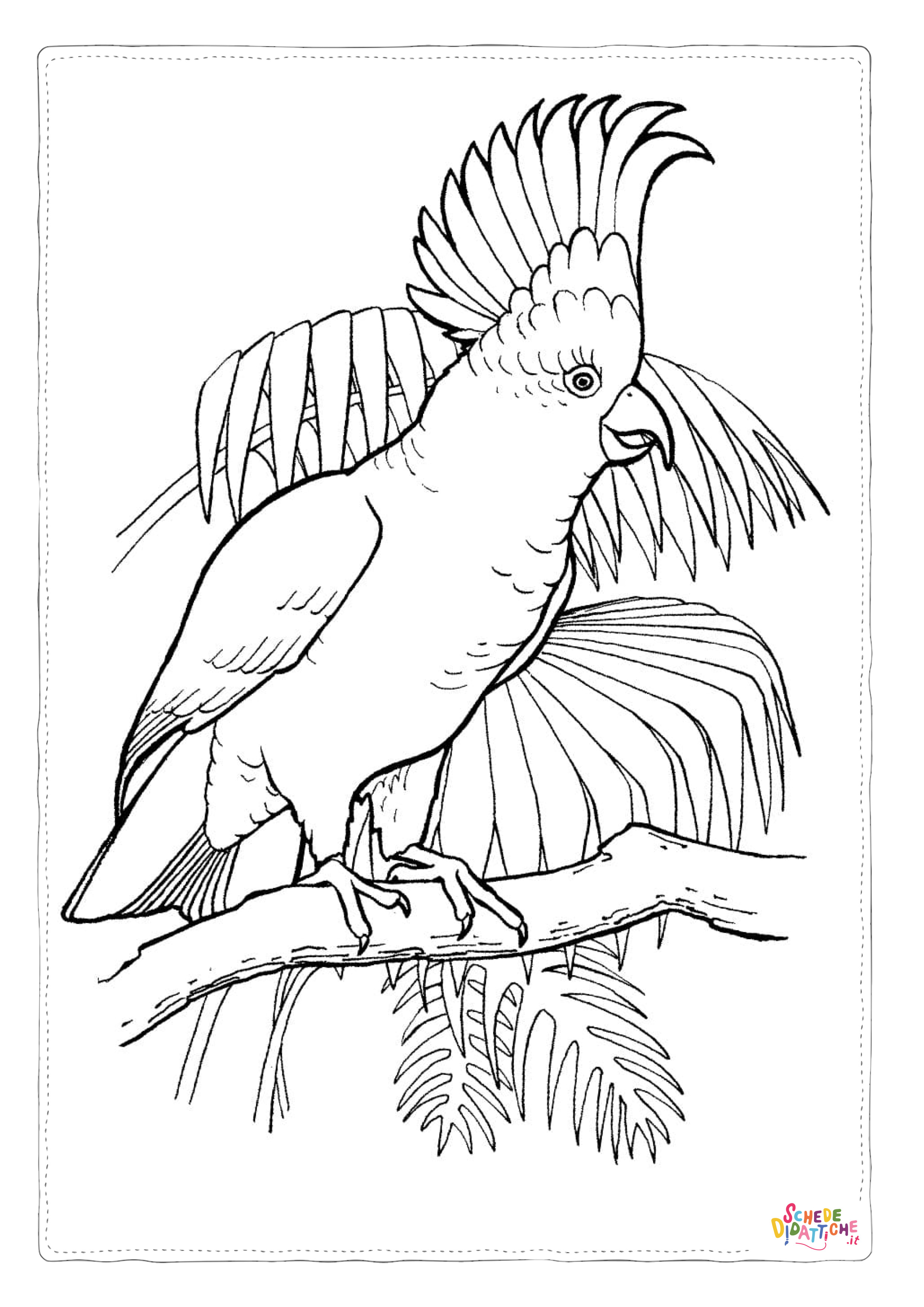 Disegno "Disegno di pappagallo da stampare e colorare 185" Disegno di pappagallo da stampare e colorare 185