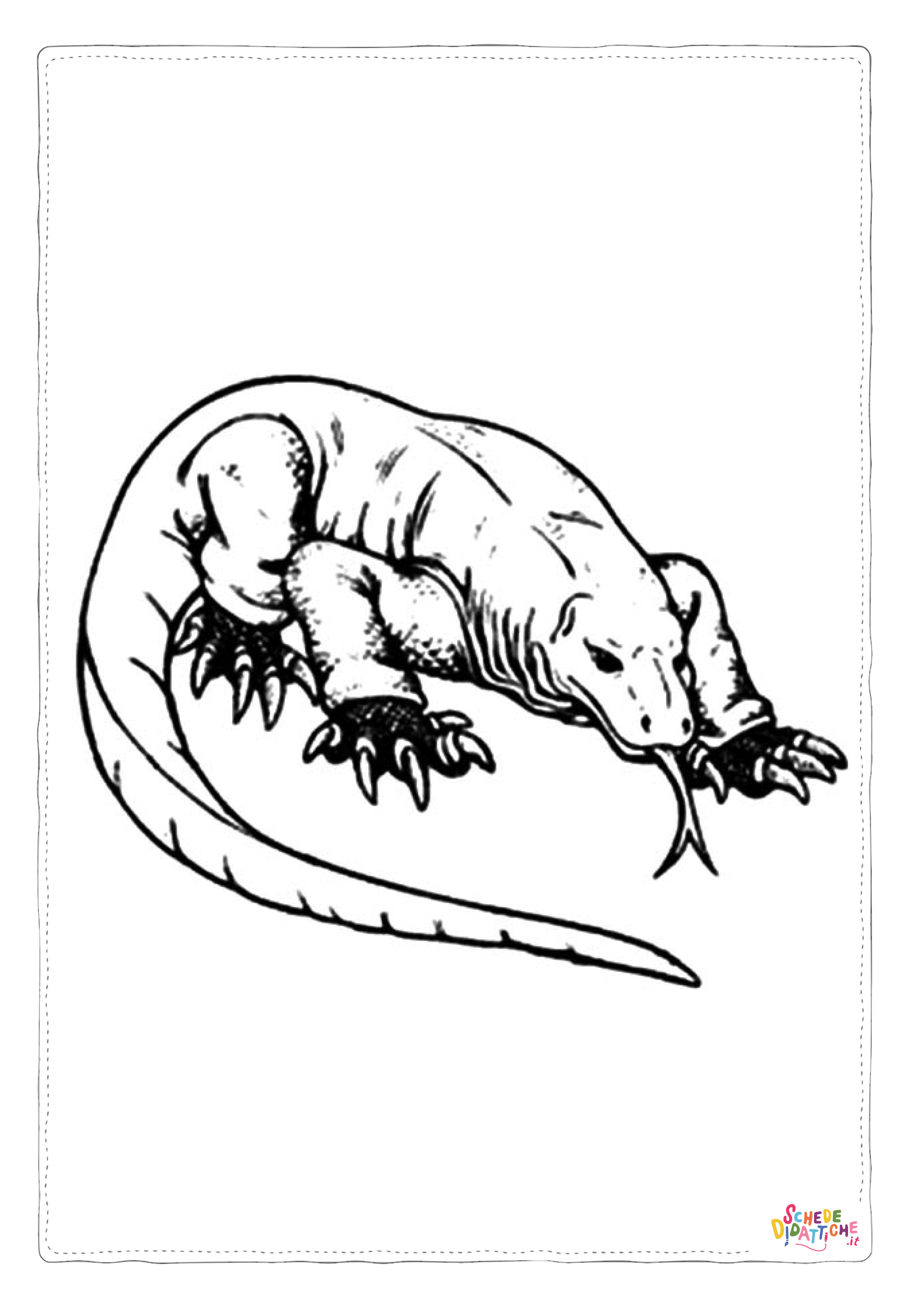 Disegno di iguana da stampare e colorare 6
