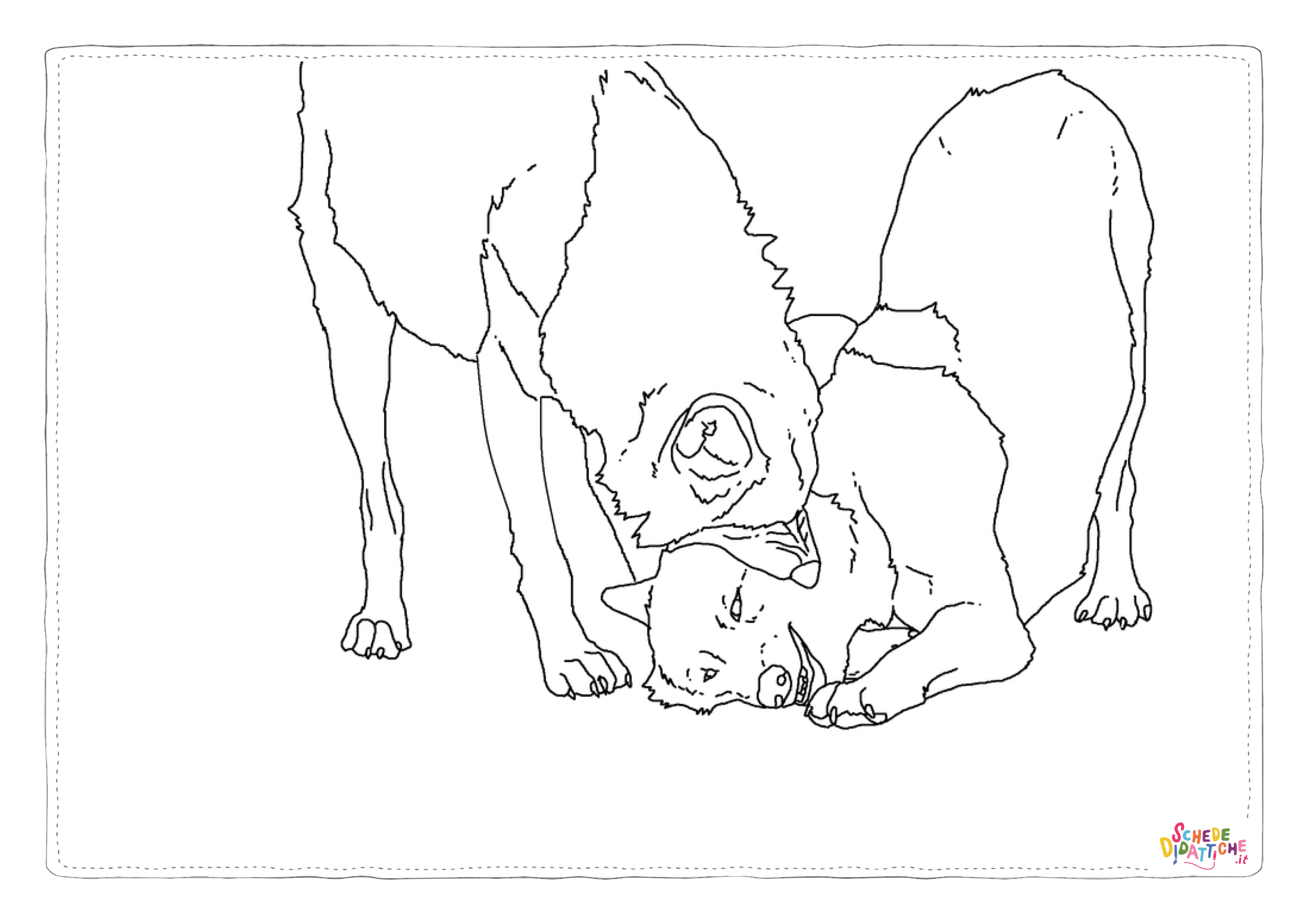 Disegno di lupo da stampare e colorare 77