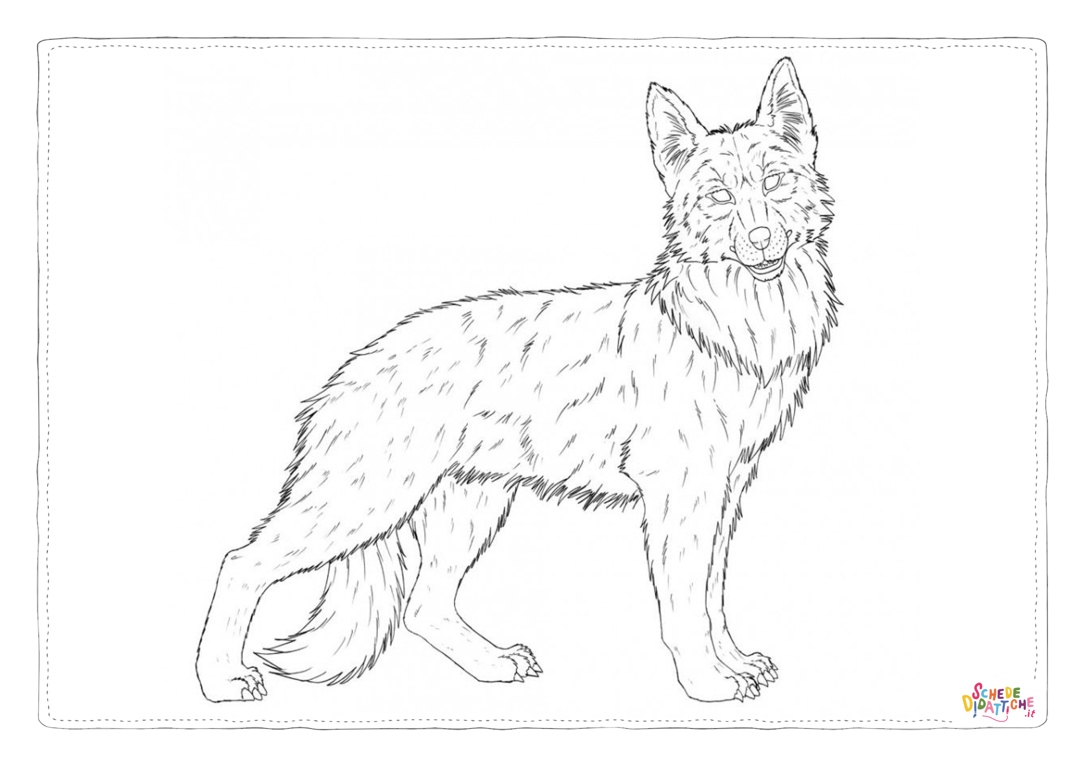 Disegno "Disegno di lupo da stampare e colorare 7" Disegno di lupo da stampare e colorare 7