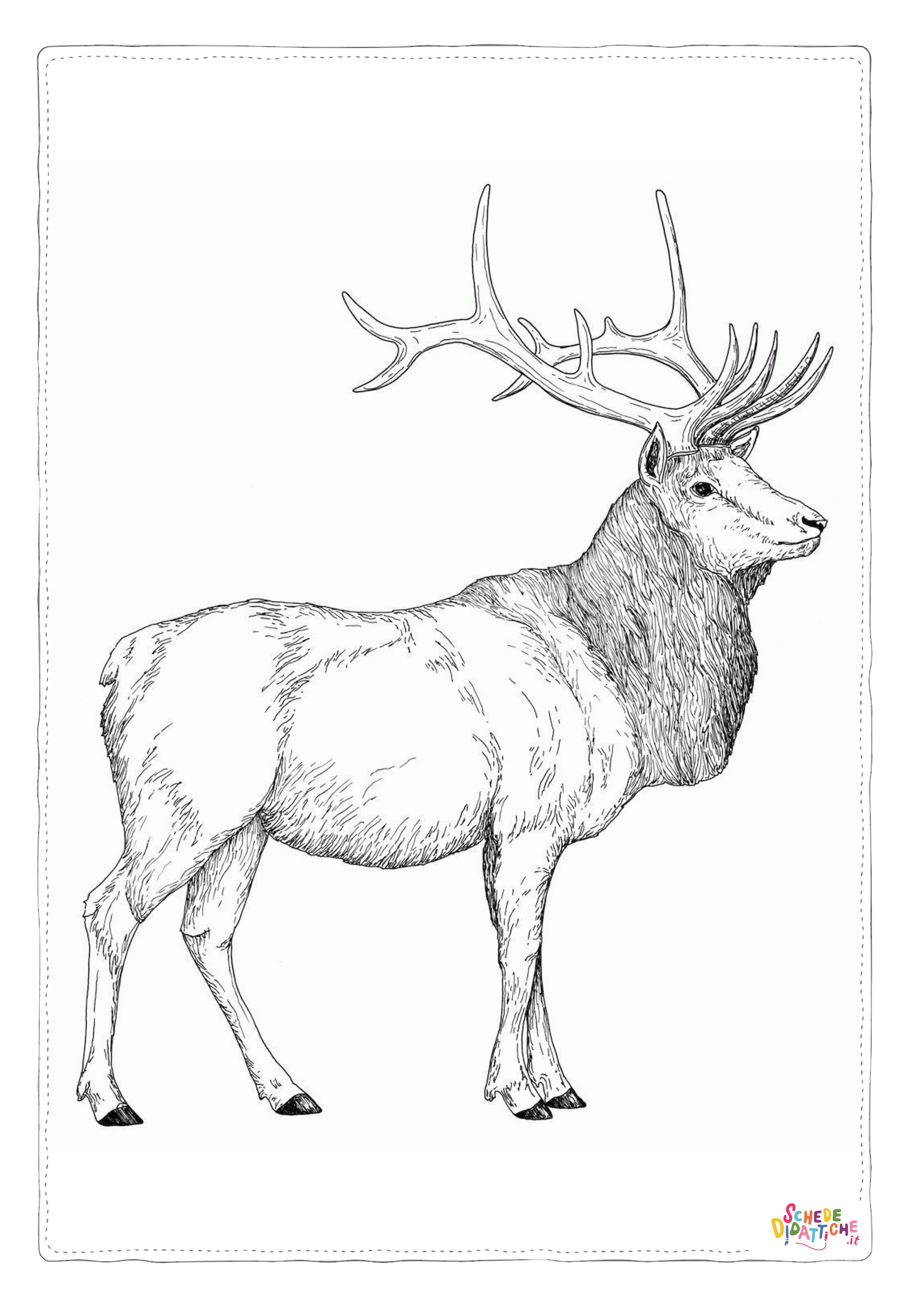 Disegno di cervo da stampare e colorare 35