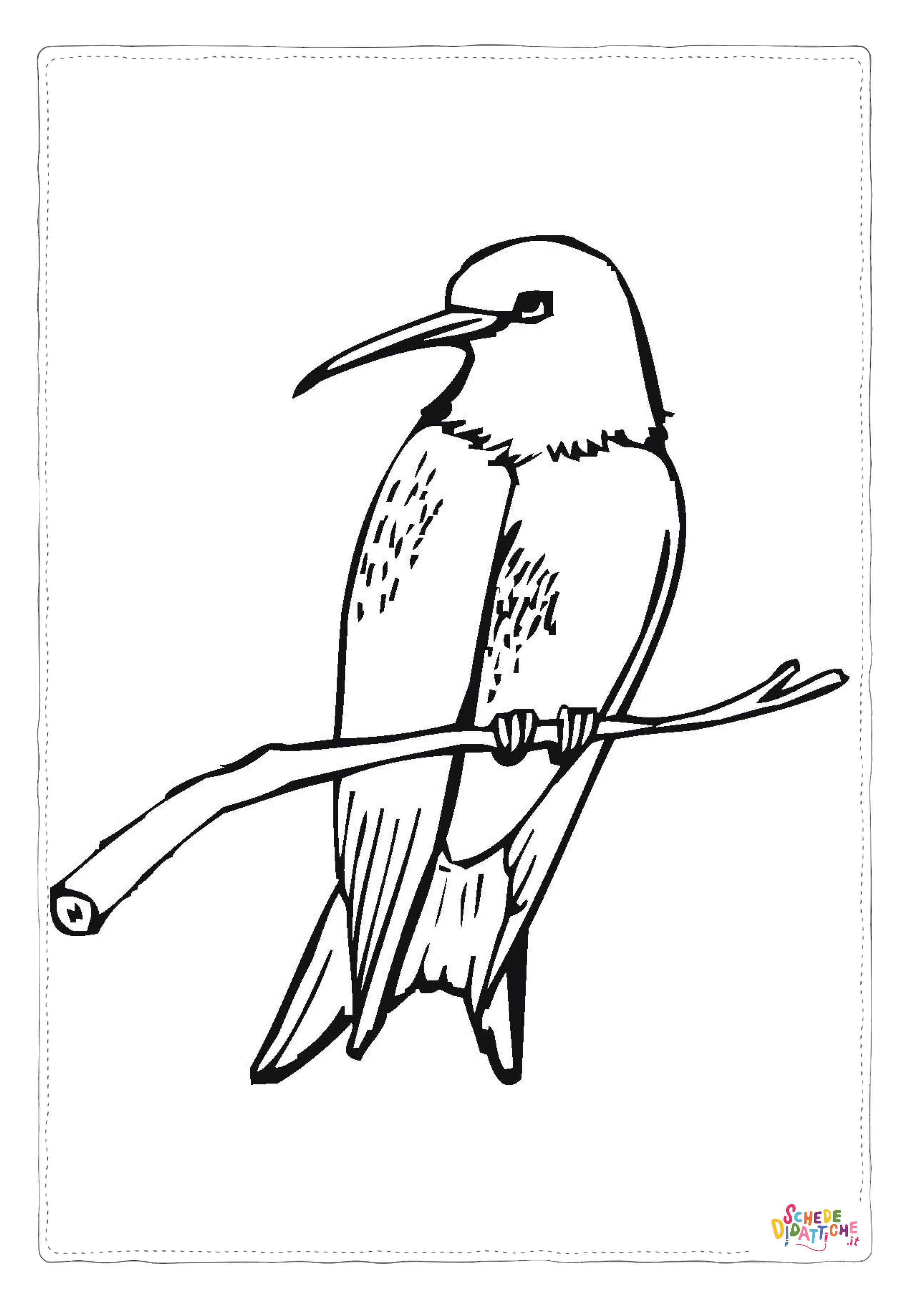 Disegno di colibr da stampare e colorare 20