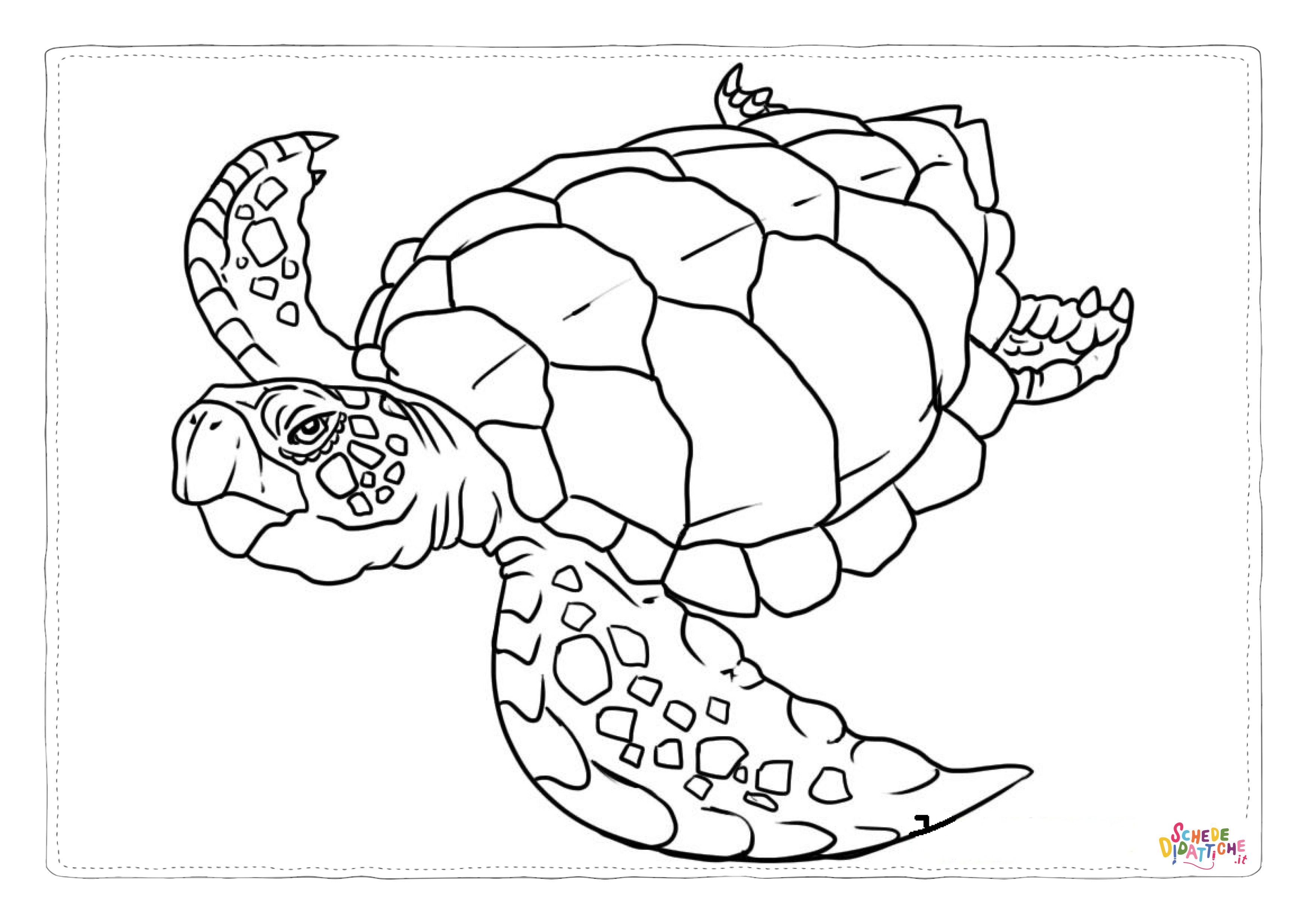 Disegno "Disegno di tartaruga di mare da stampare e colorare 10" Disegno di tartaruga di mare da stampare e colorare 10