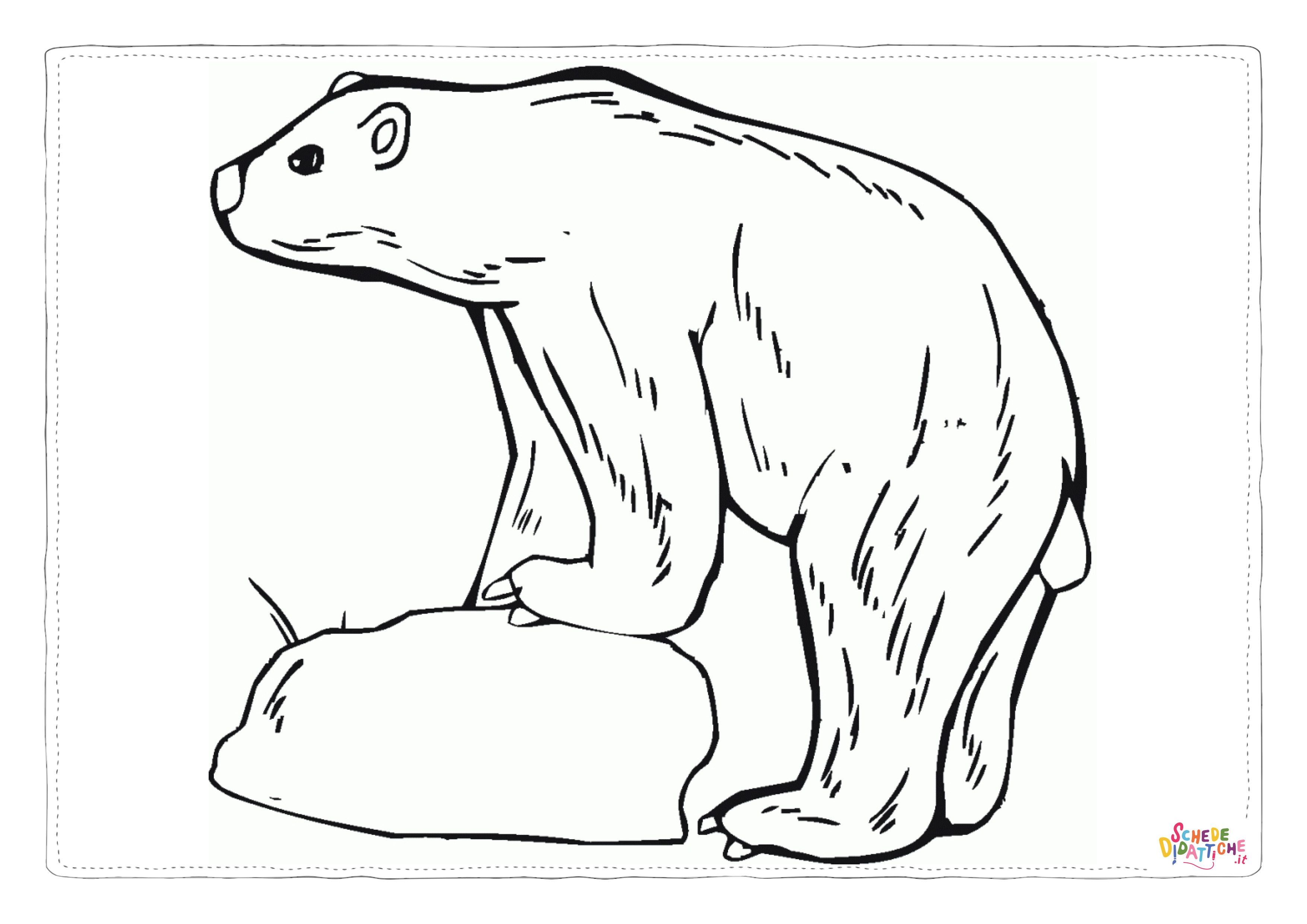 Disegno "Disegno di orso polare da stampare e colorare 21" Disegno di orso polare da stampare e colorare 21